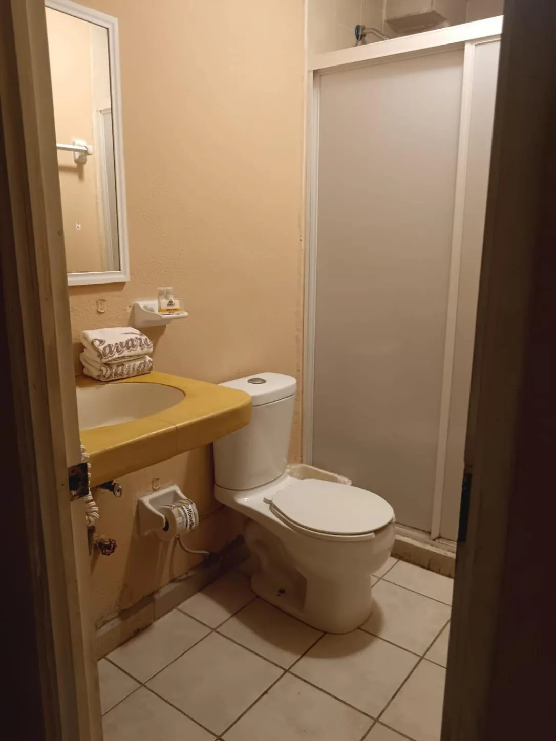 Shower in Hotel Tradicional Savaro SA de CV