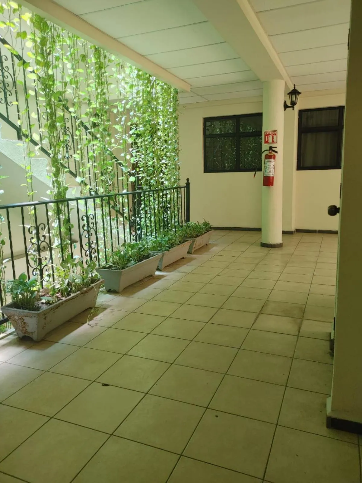 Property building in Hotel Tradicional Savaro SA de CV