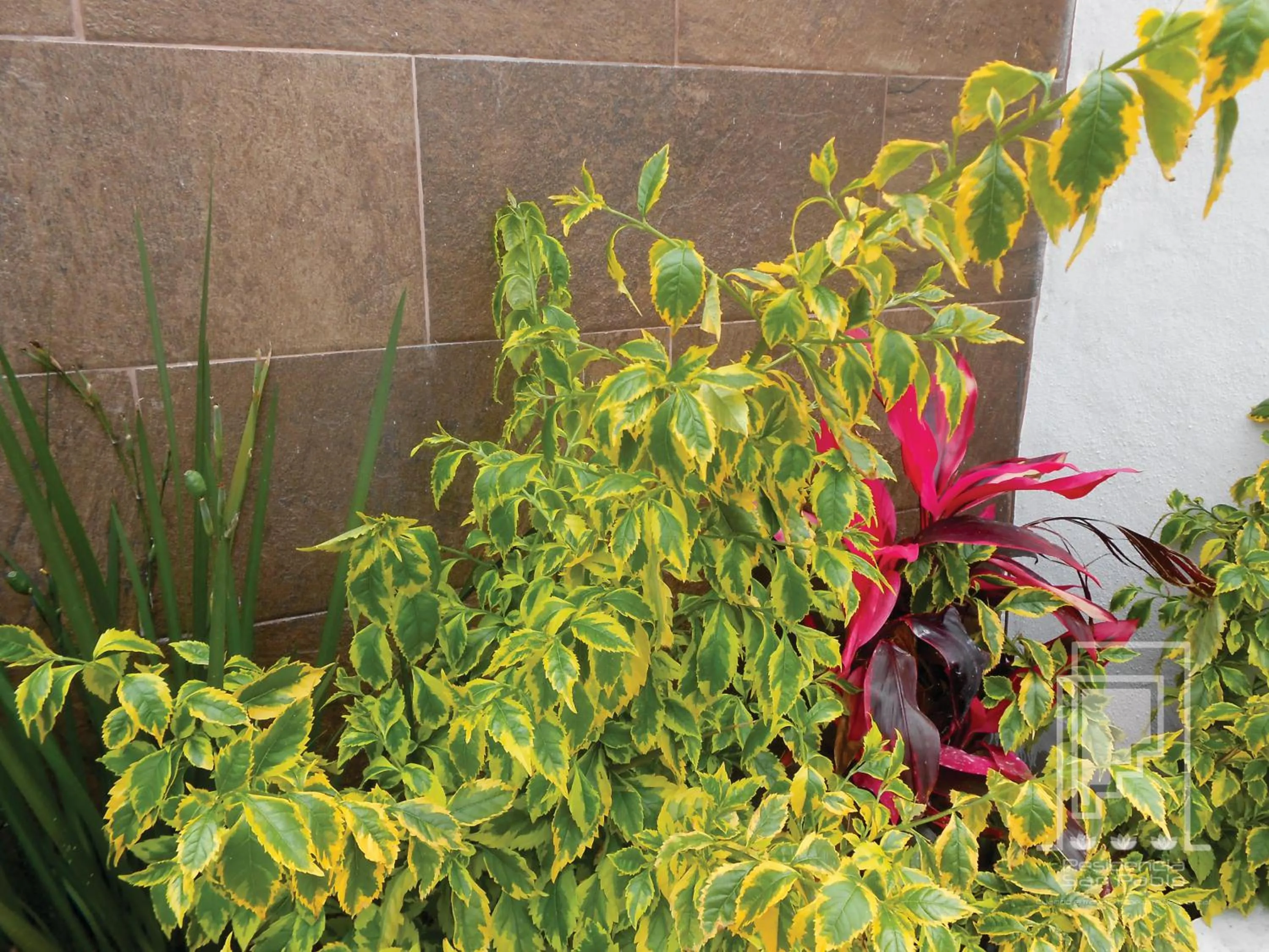 Facade/entrance in Residencia San Pablo