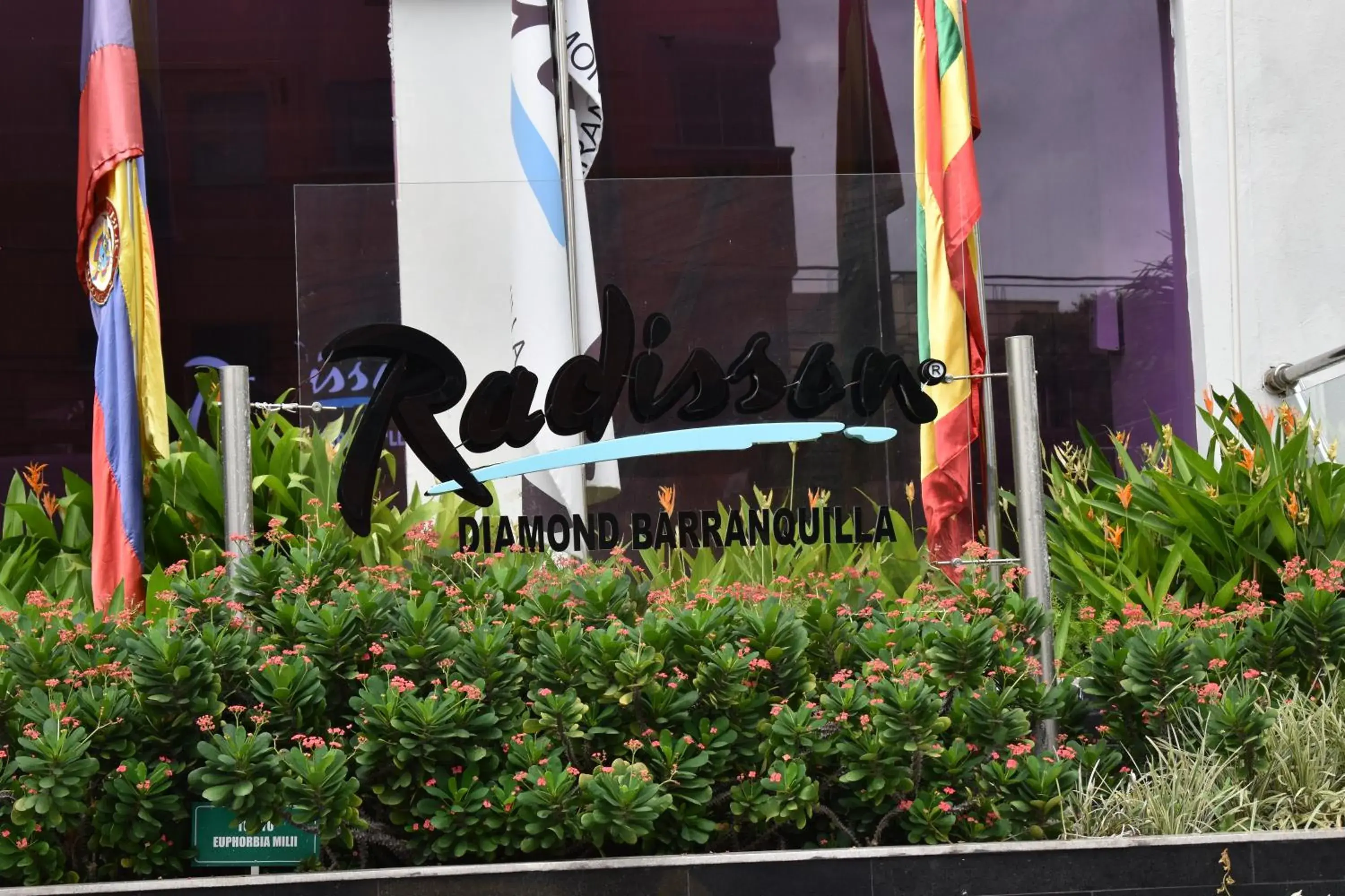 Property building in Radisson Diamond Barranquilla Property building in Radisson Diamond Barranquilla