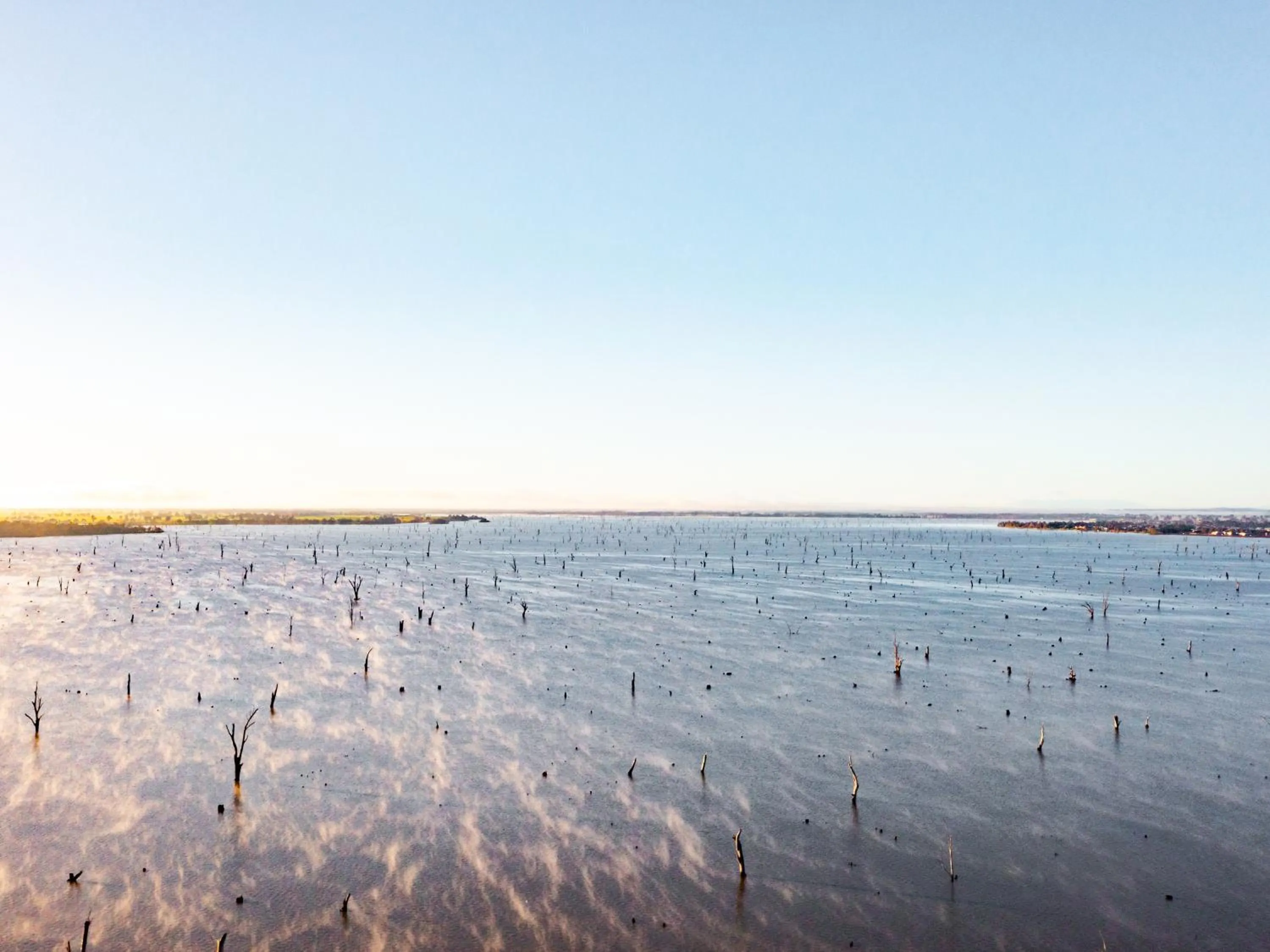 Natural landscape in NRMA Yarrawonga Mulwala Holiday Park