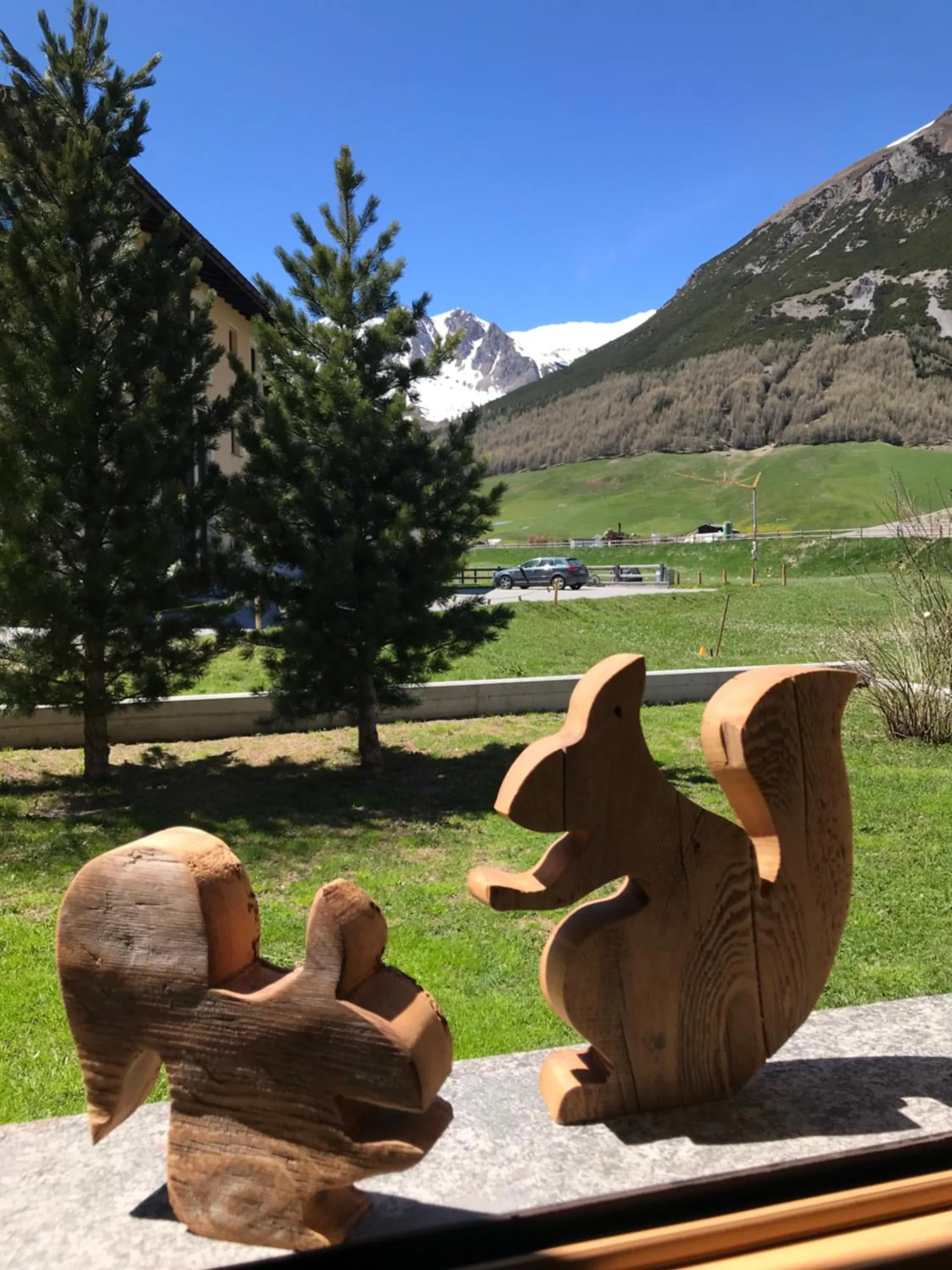 Garden view in OpenSpace Livigno