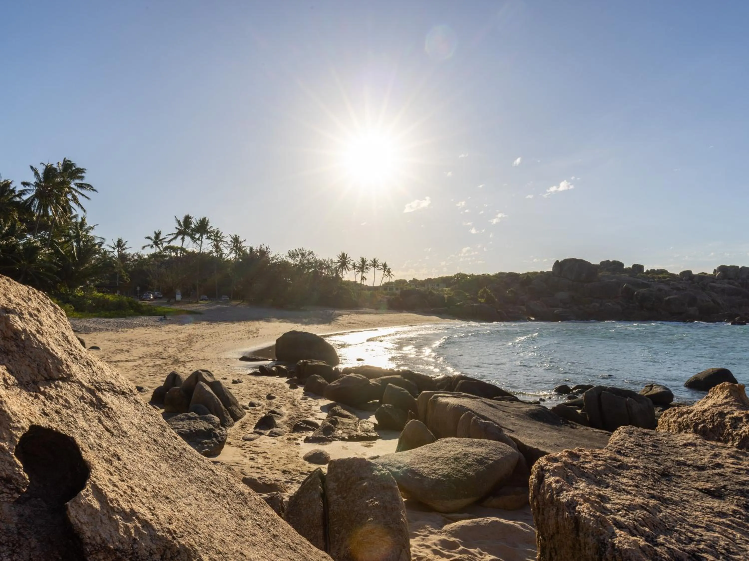 Natural landscape in NRMA Bowen Beachfront Holiday Park