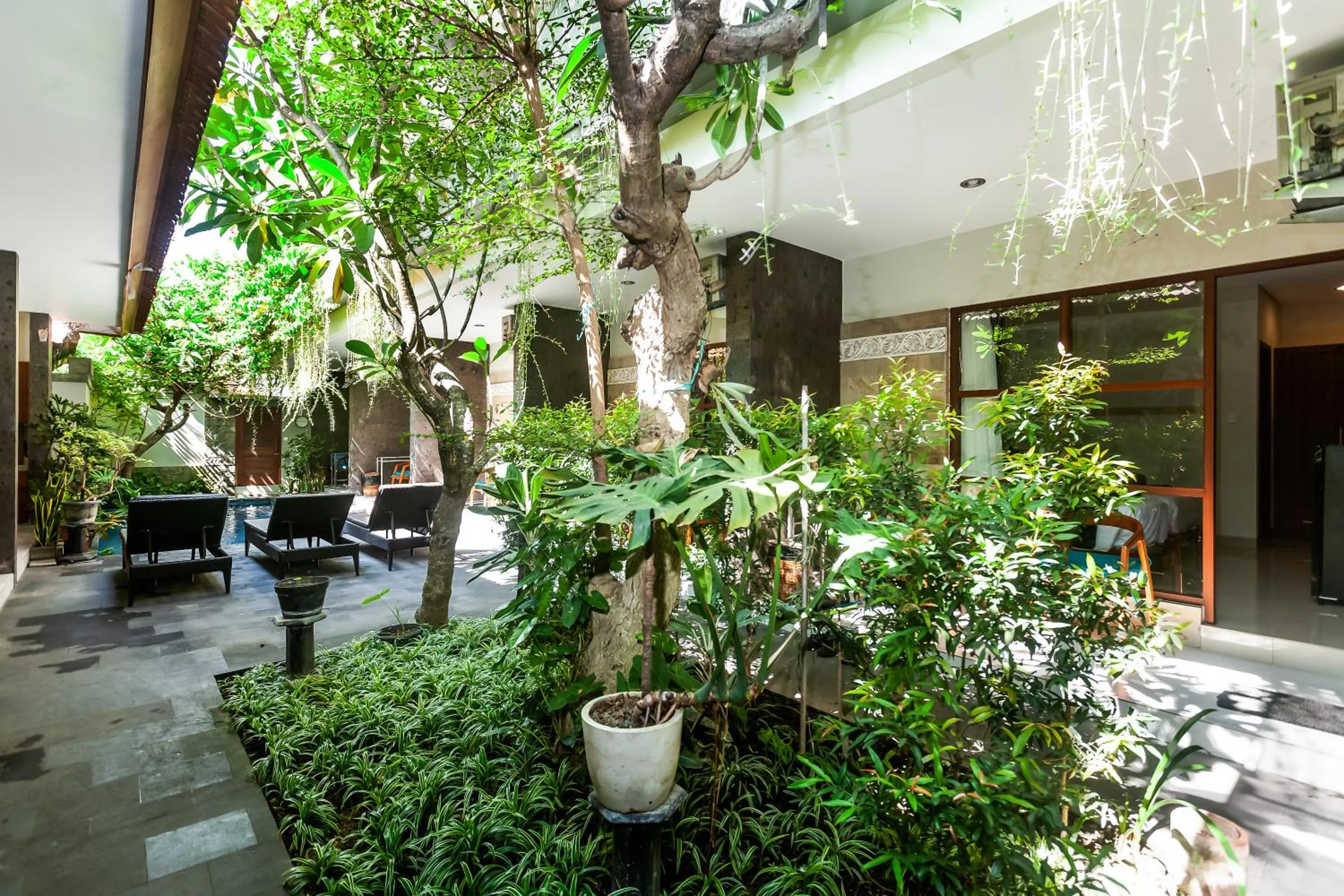 Garden in Naksa Homestay Sanur