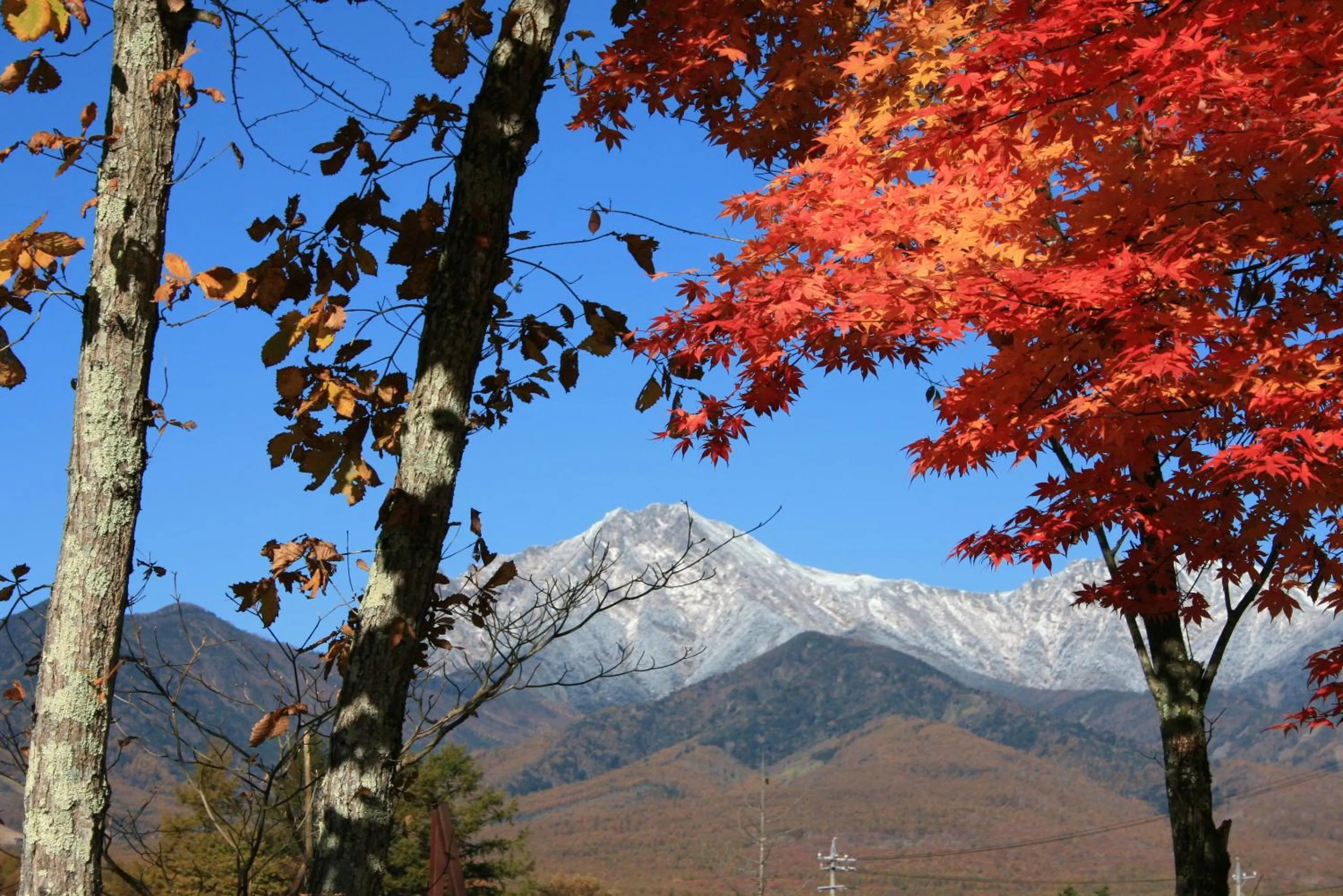 Nearby landmark in Yatsugatake Grace Hotel