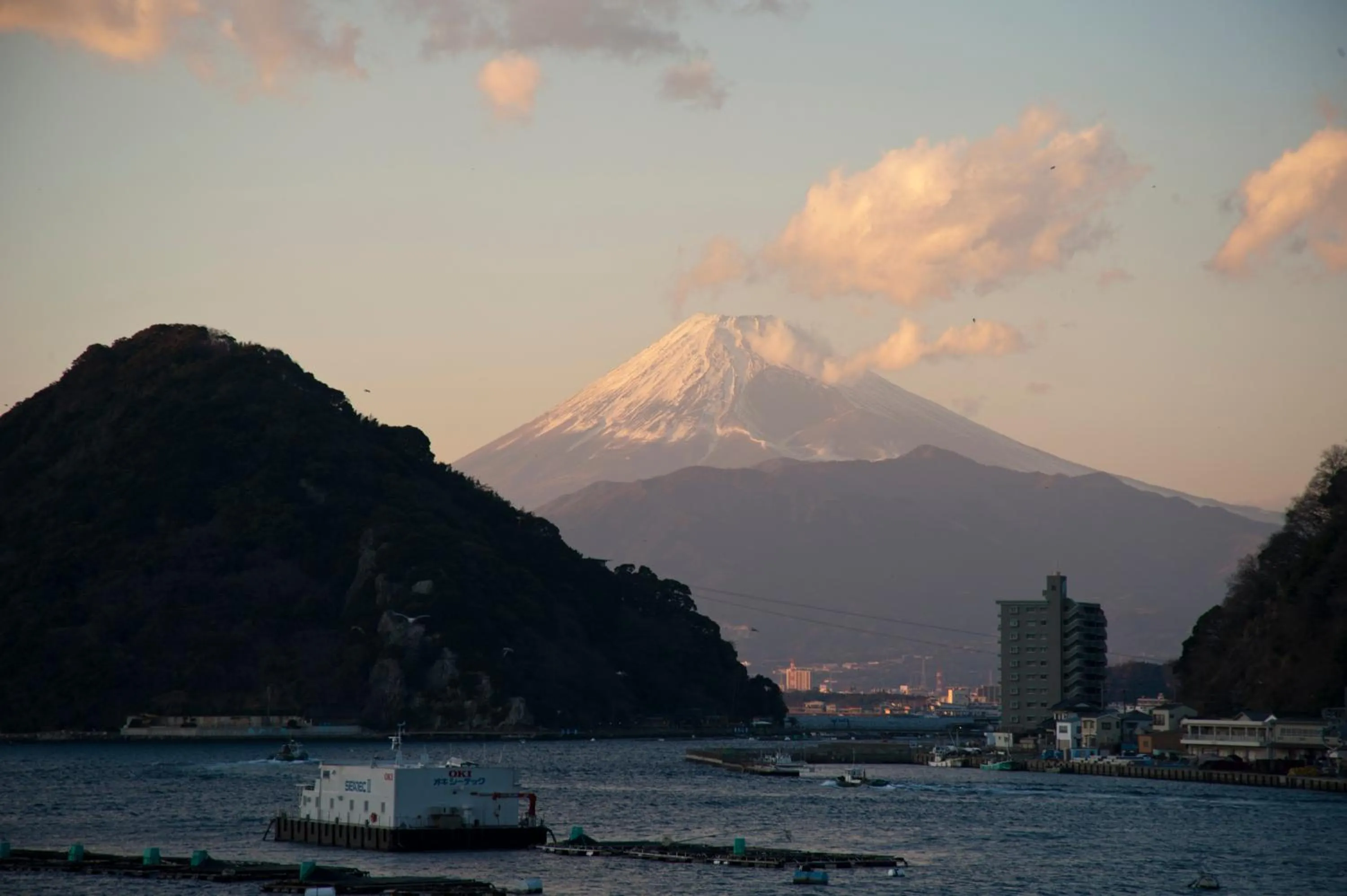 View (from property/room) in Izu Mitohama Shotokan