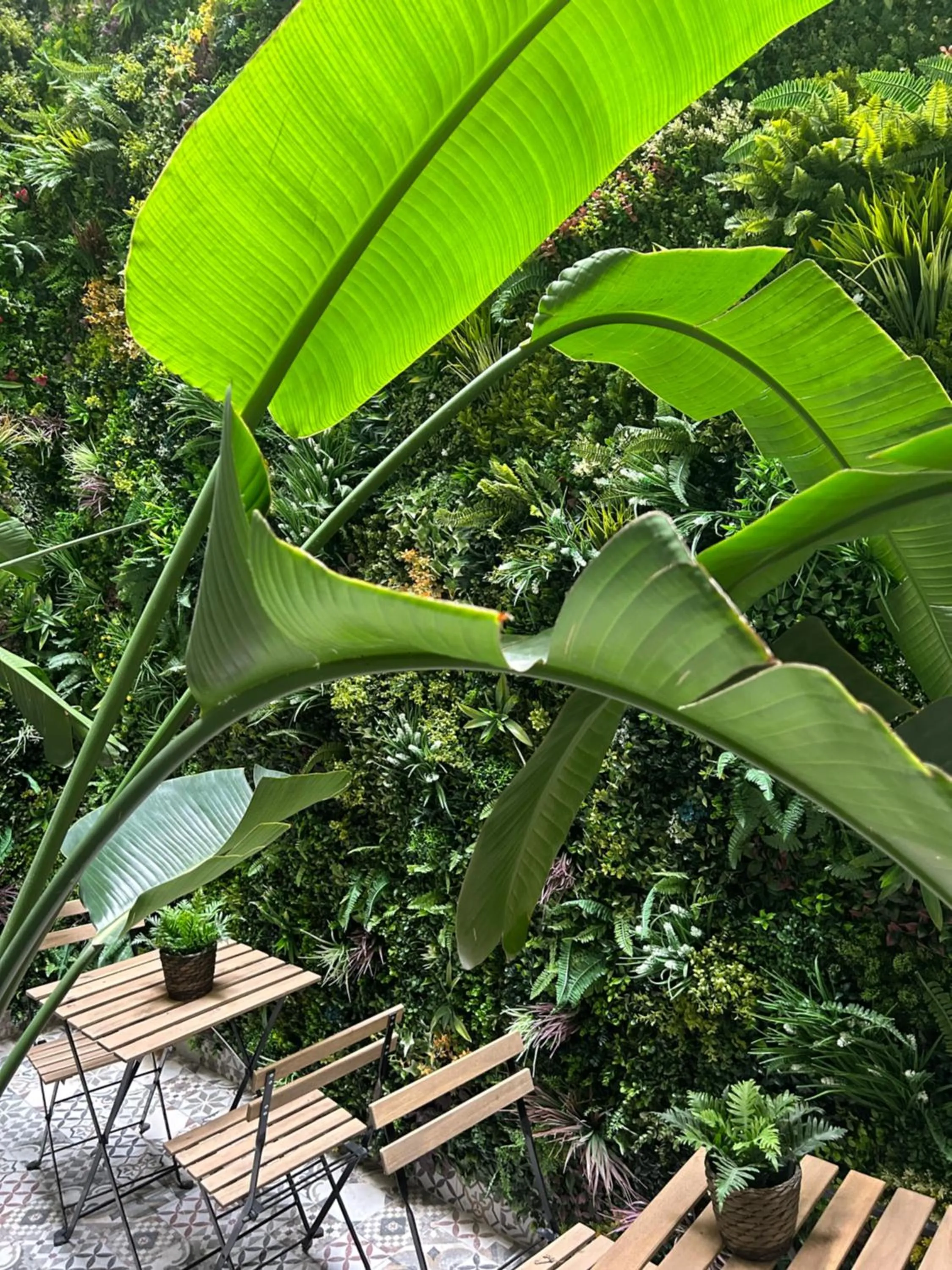 Garden in Hotel BH San Francisco Alicante