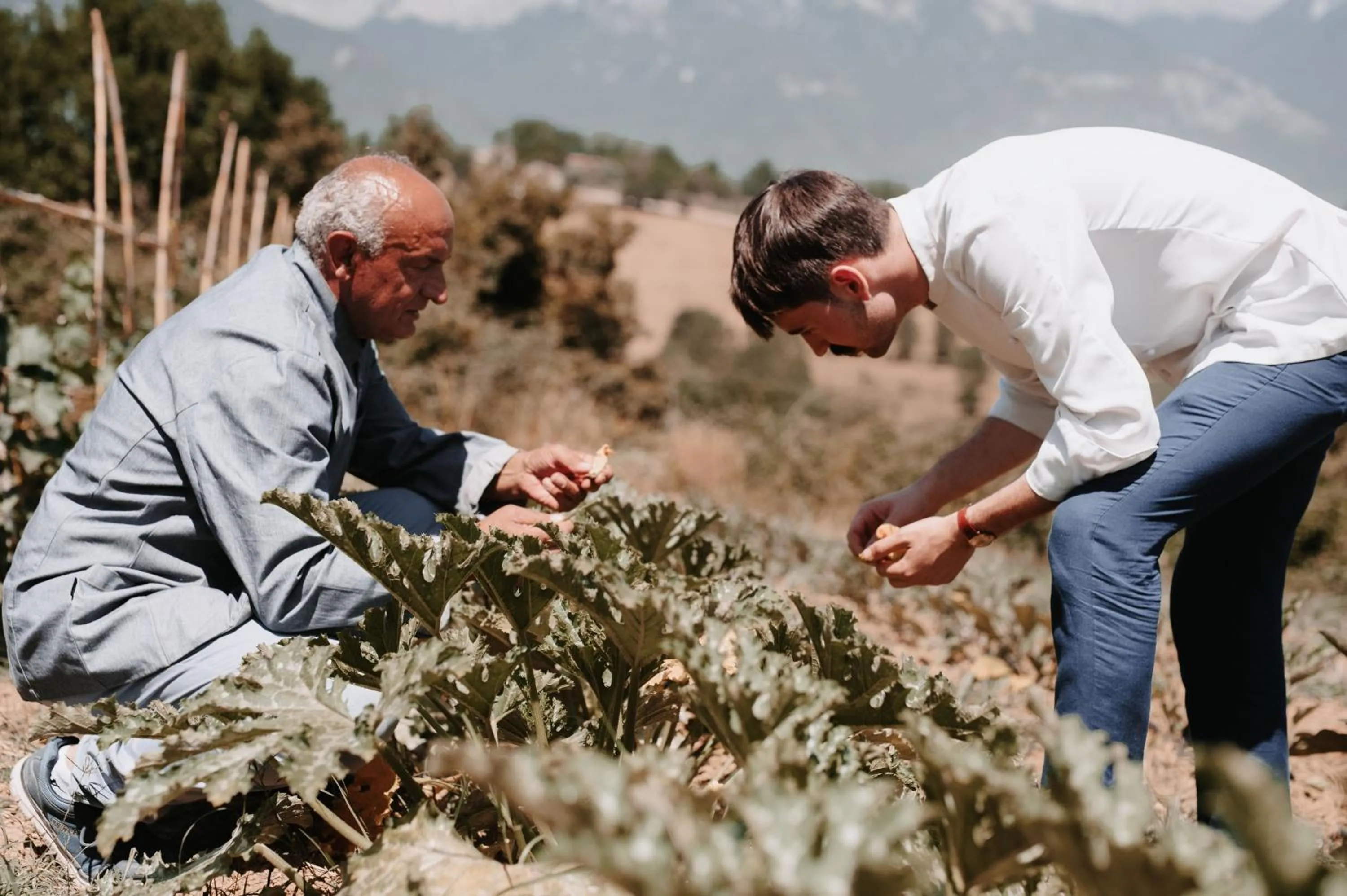 Day in RELAIS COLLE BUONO