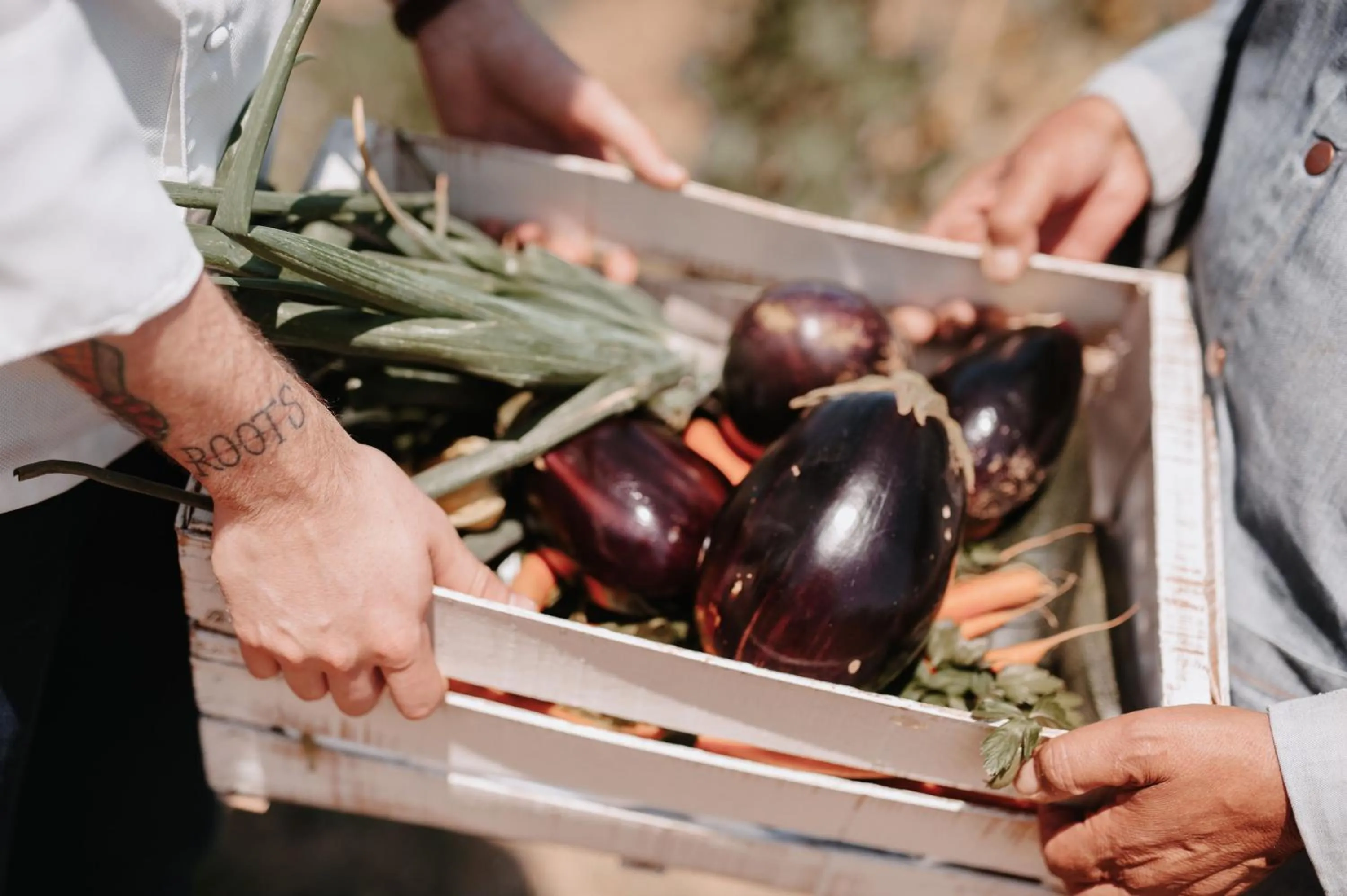 Food and drinks in RELAIS COLLE BUONO