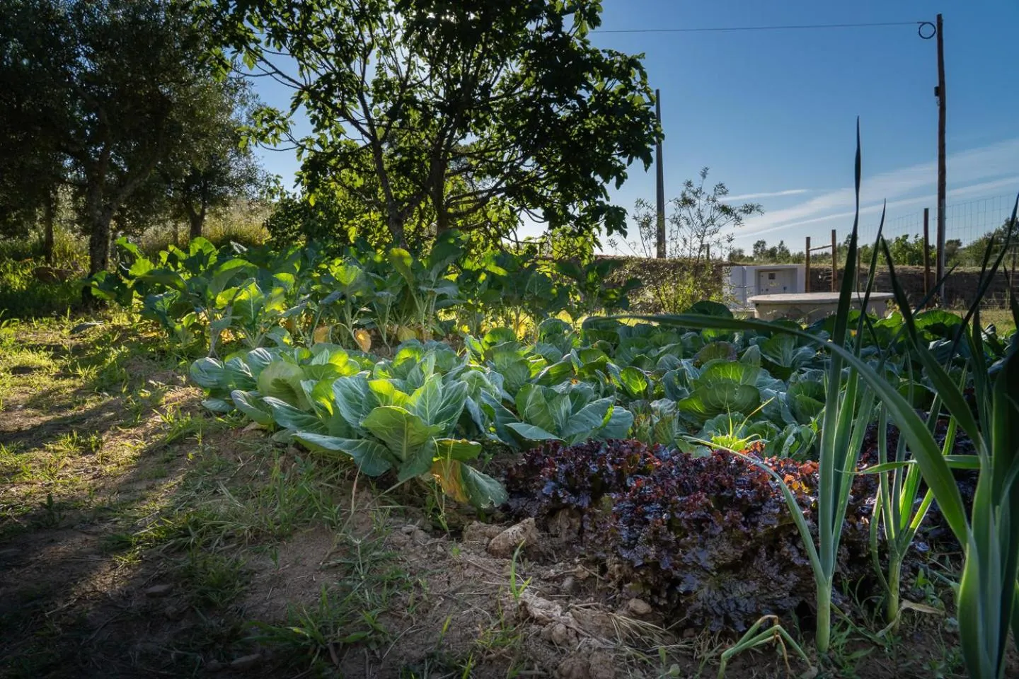 Off site in Gavião Nature Village