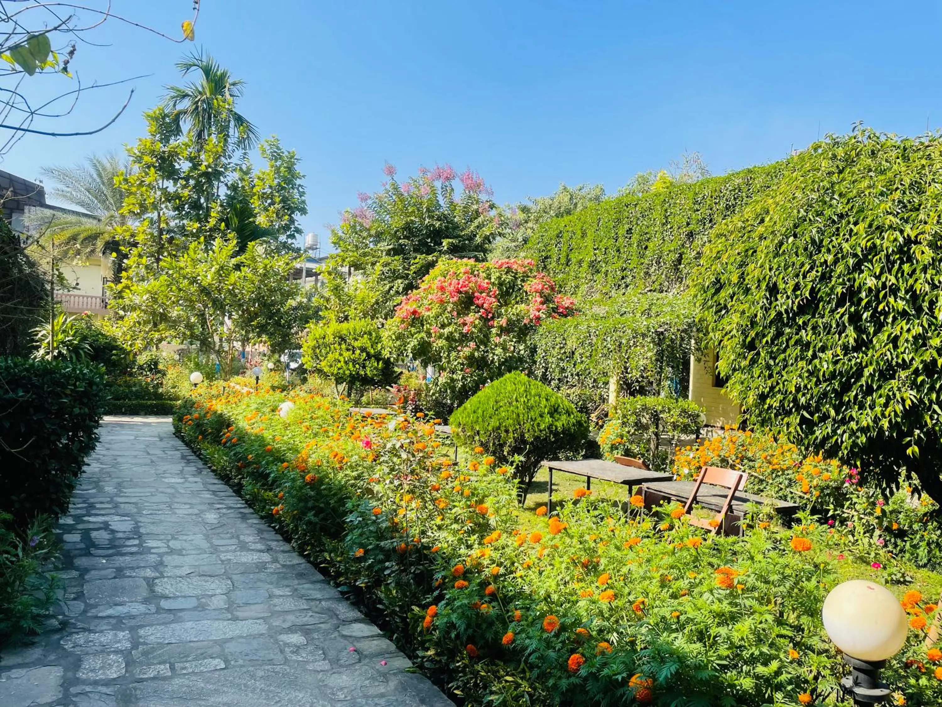 Spring in Travellers Jungle Camp-Sauraha