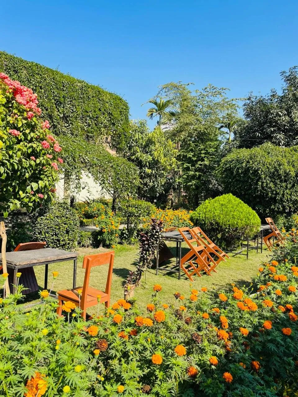 Spring in Travellers Jungle Camp-Sauraha