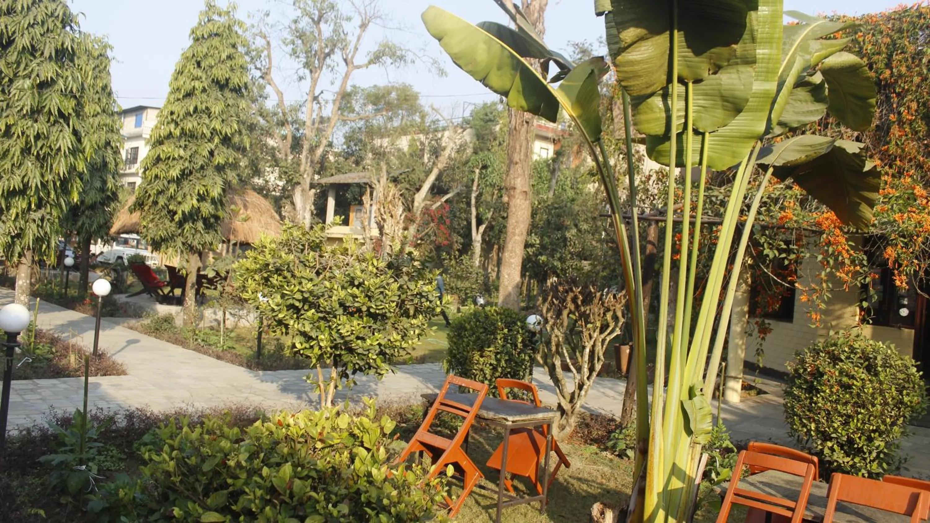 Patio in Travellers Jungle Camp-Sauraha