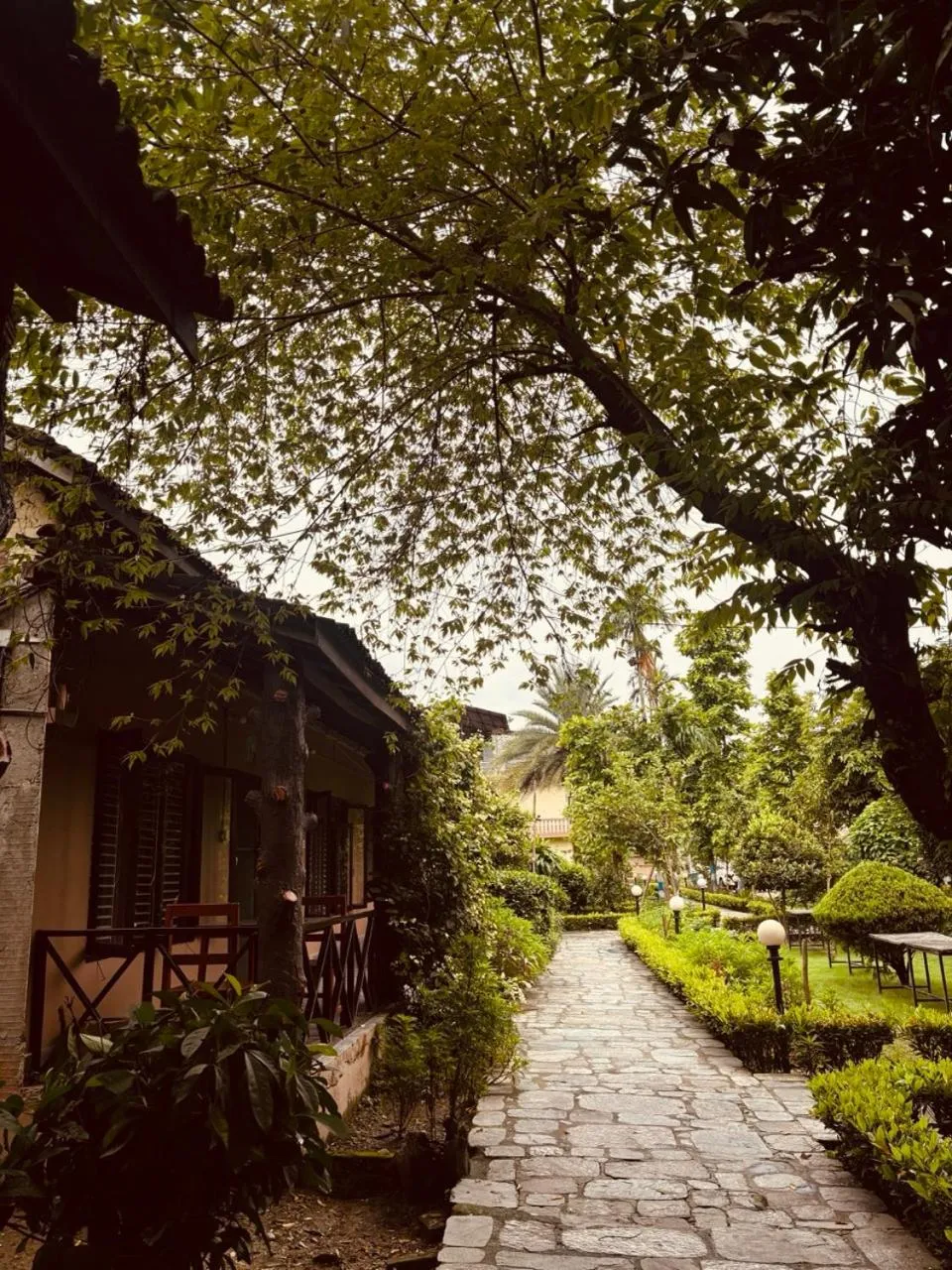 Property building in Travellers Jungle Camp-Sauraha