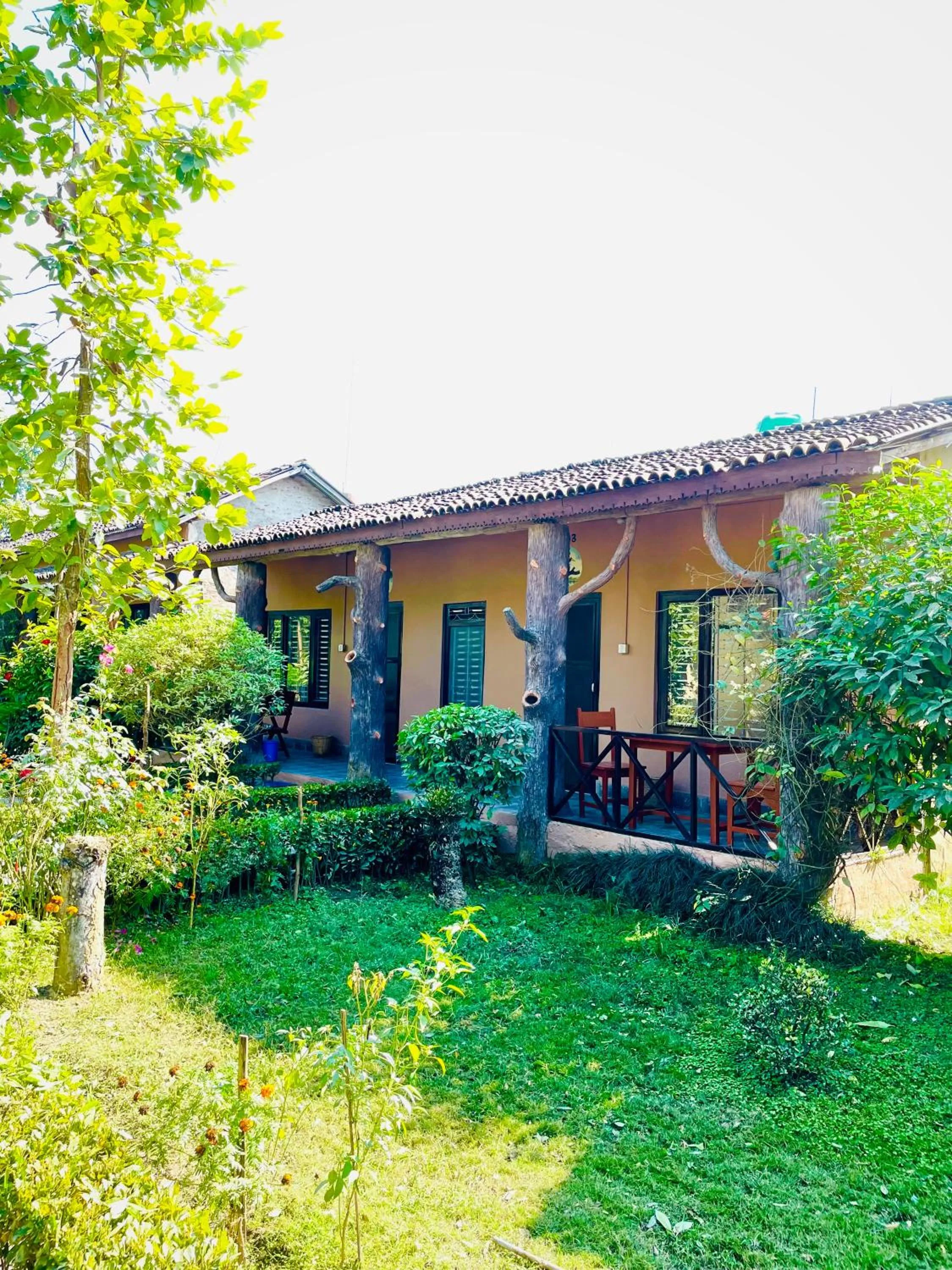 Property building in Travellers Jungle Camp-Sauraha