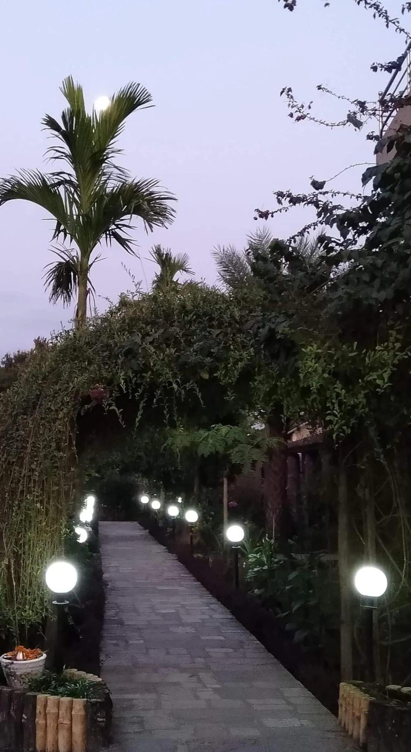 Garden in Travellers Jungle Camp-Sauraha