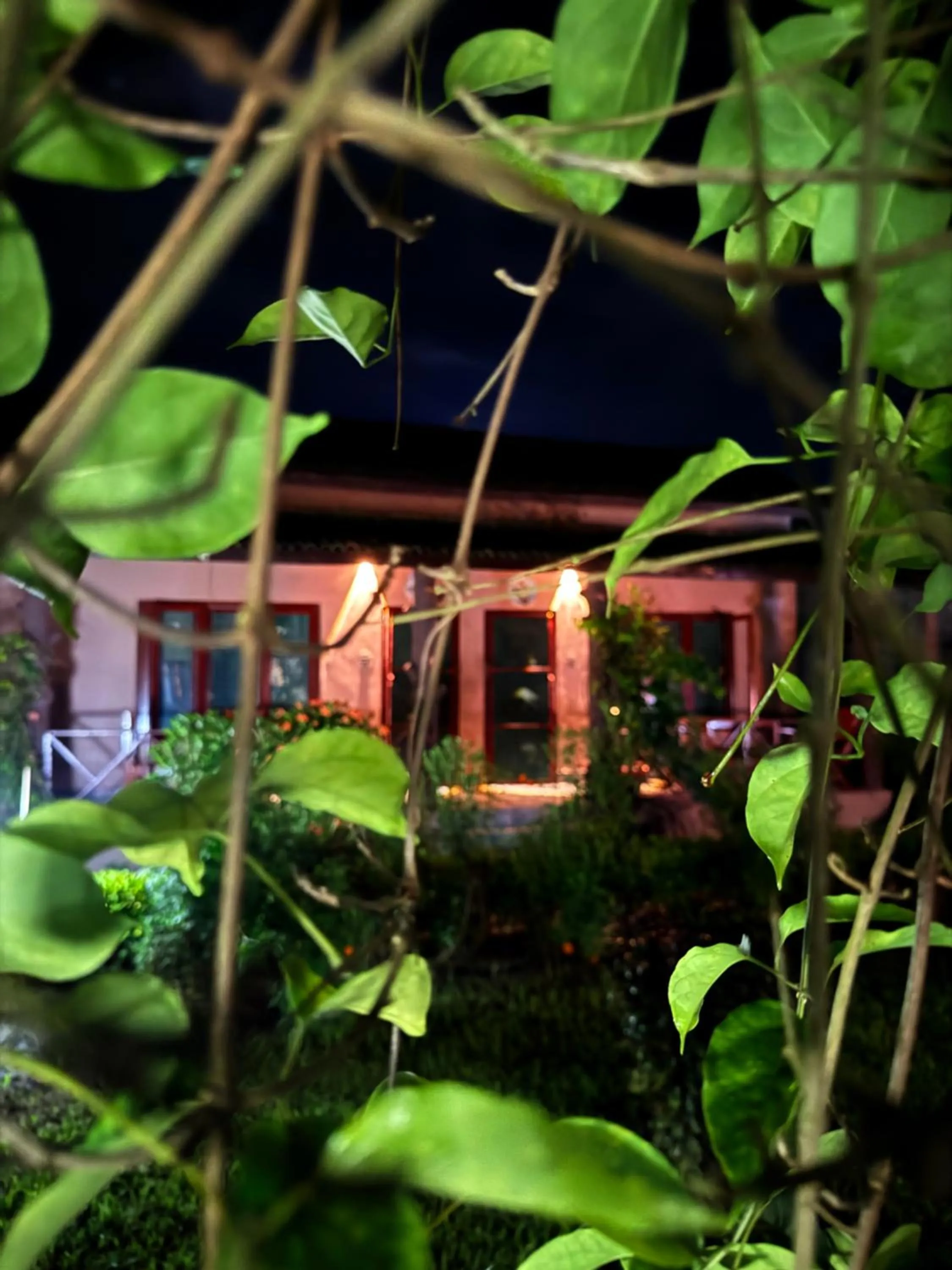 Property building in Travellers Jungle Camp-Sauraha