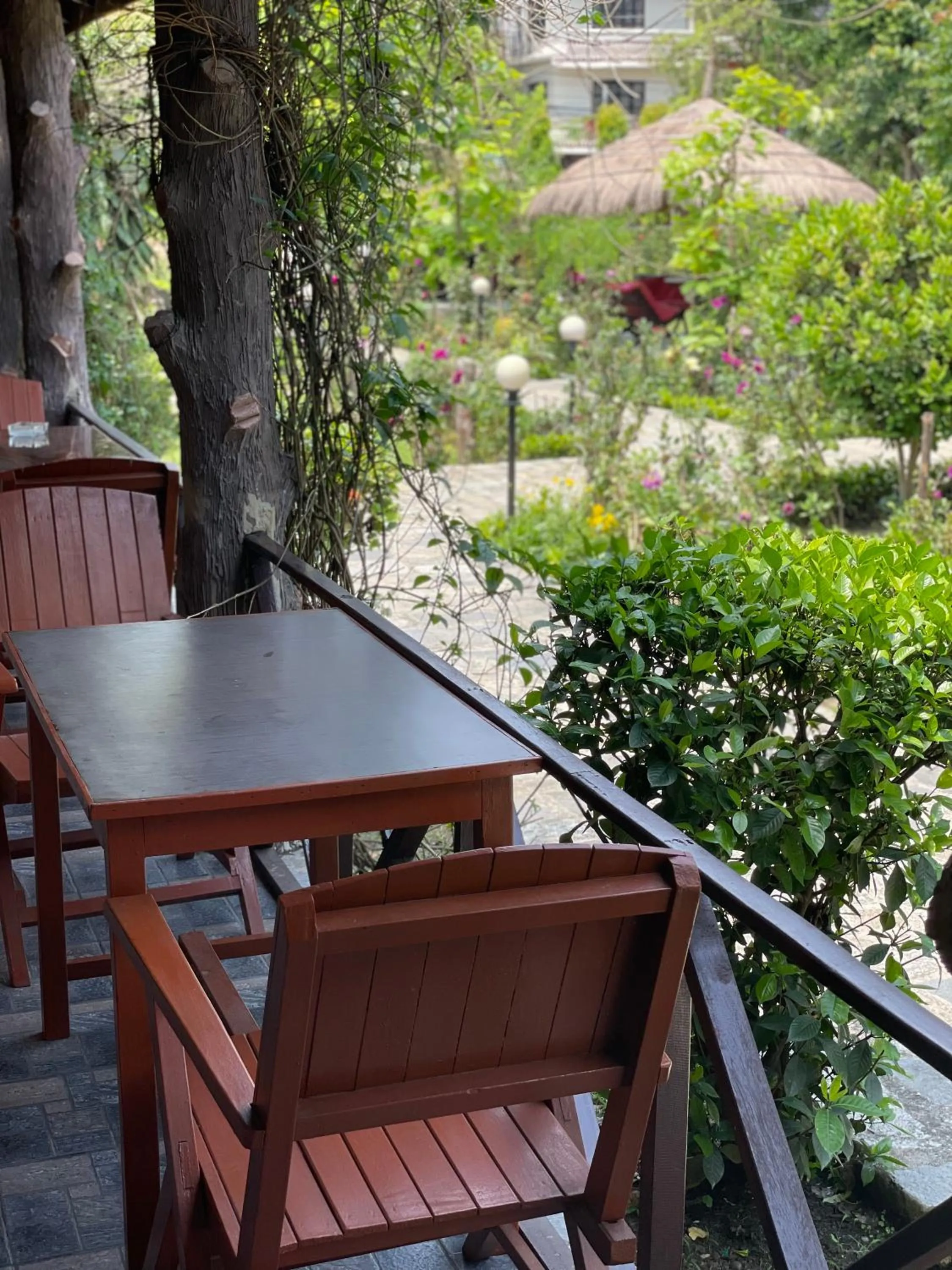 Patio in Travellers Jungle Camp-Sauraha