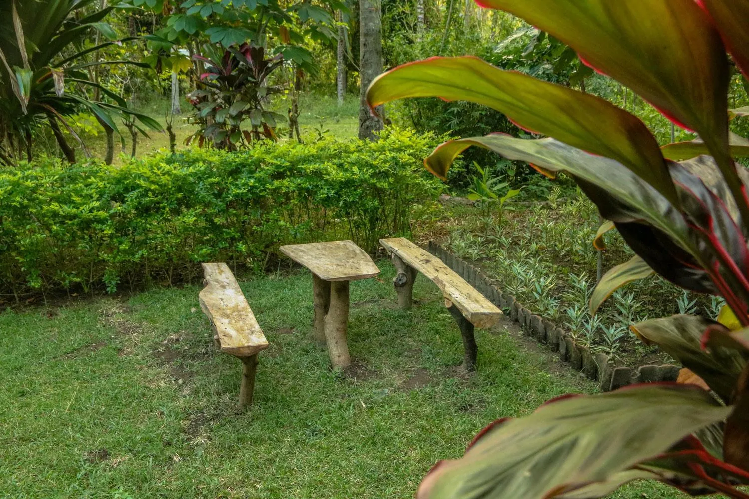 Garden in Lendang Eco Lodge
