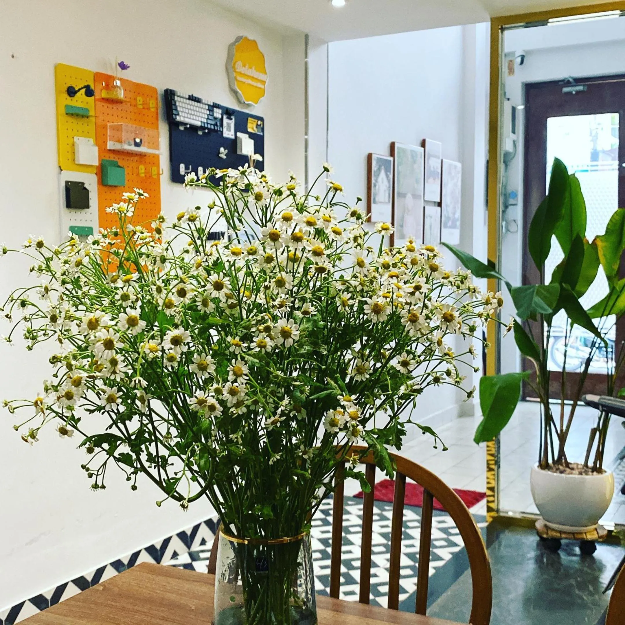 Property building in PANDORA HOUSE