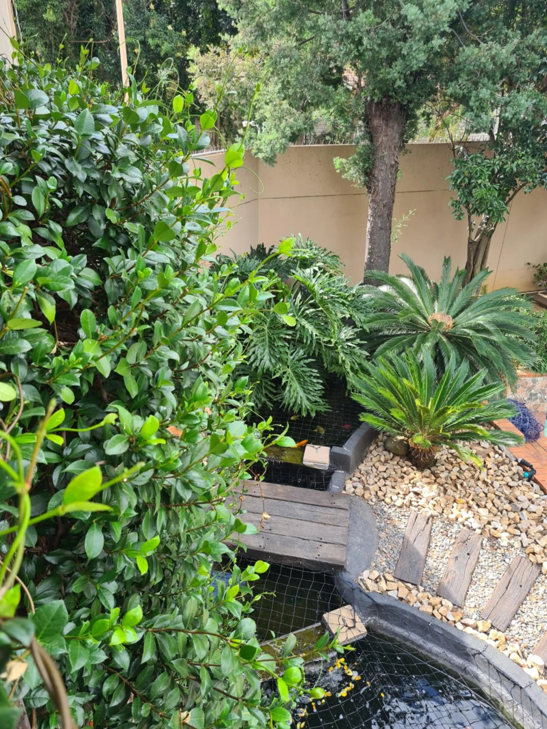 Garden in Halfway Gardens Home
