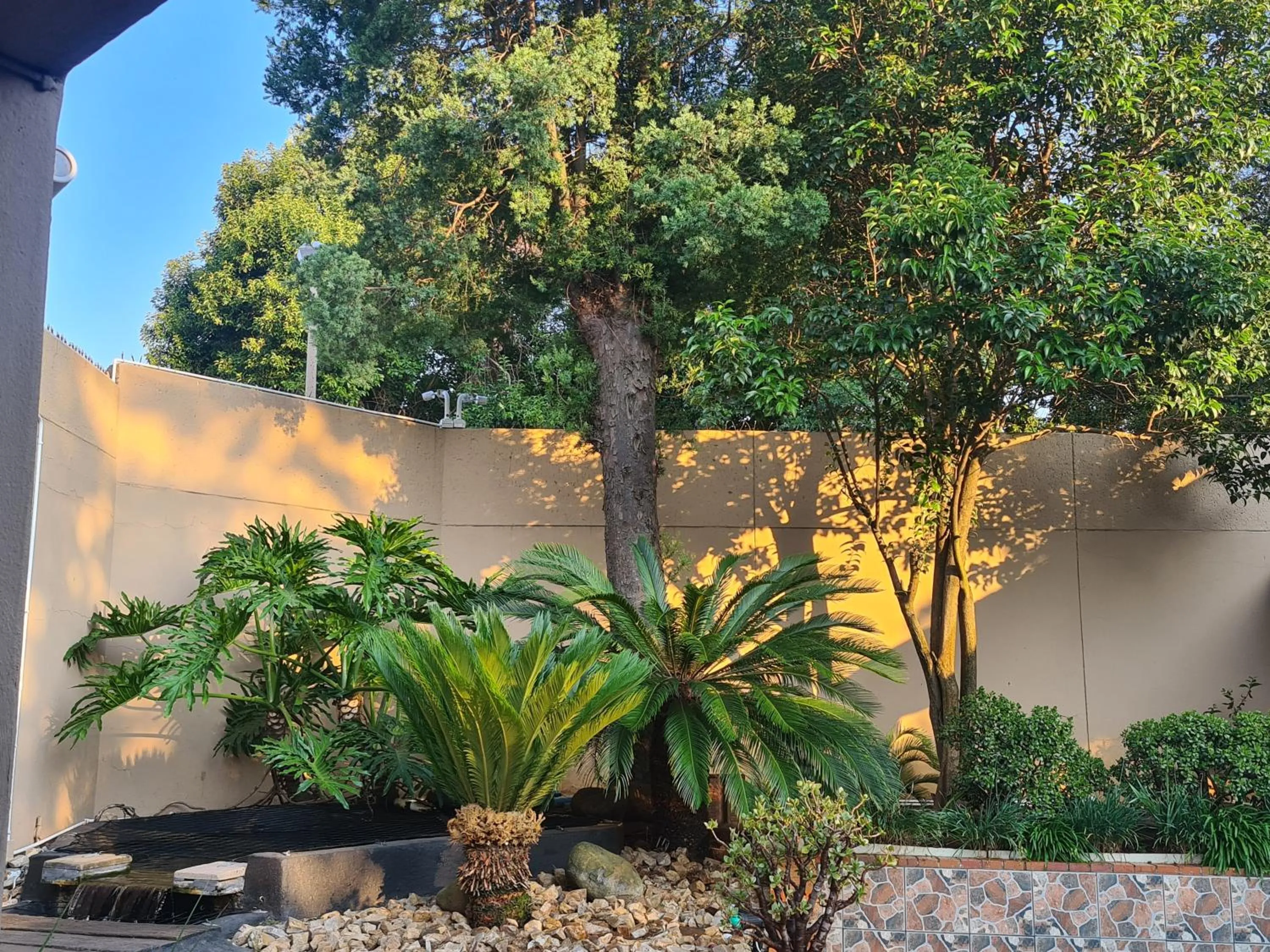 Garden in Halfway Gardens Home
