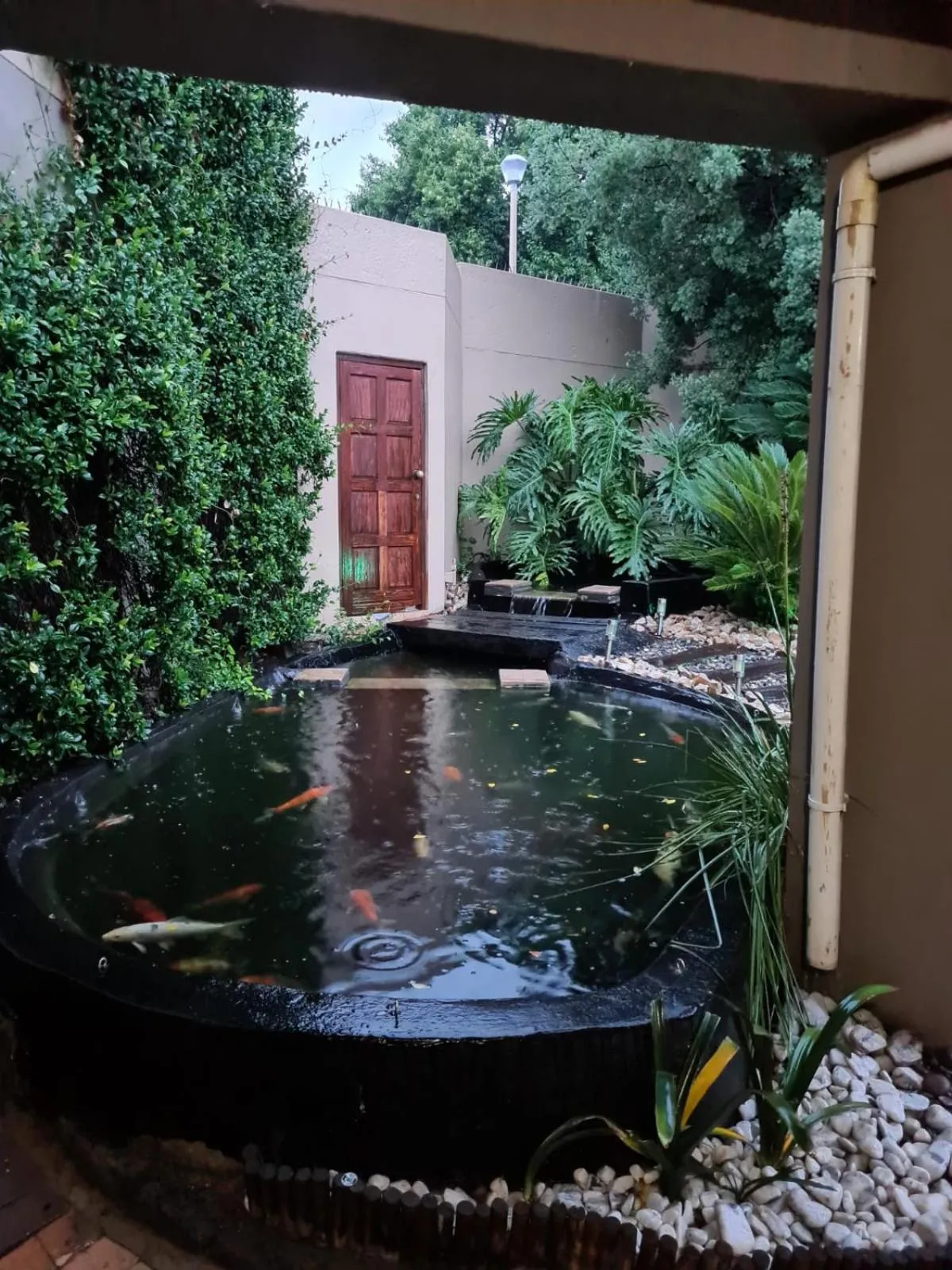 Garden in Halfway Gardens Home
