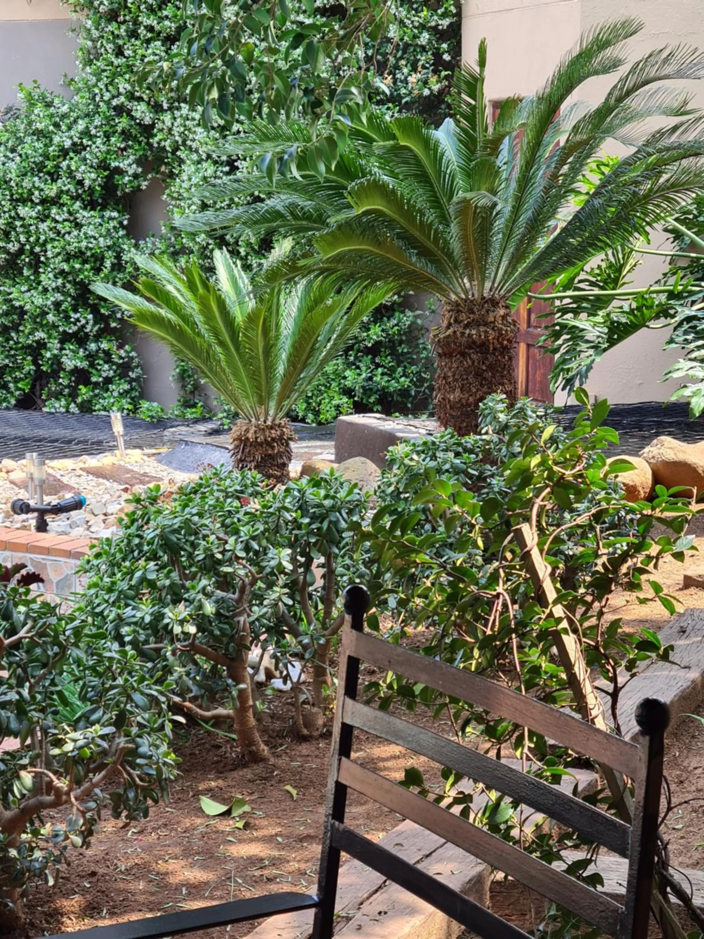 Garden in Halfway Gardens Home