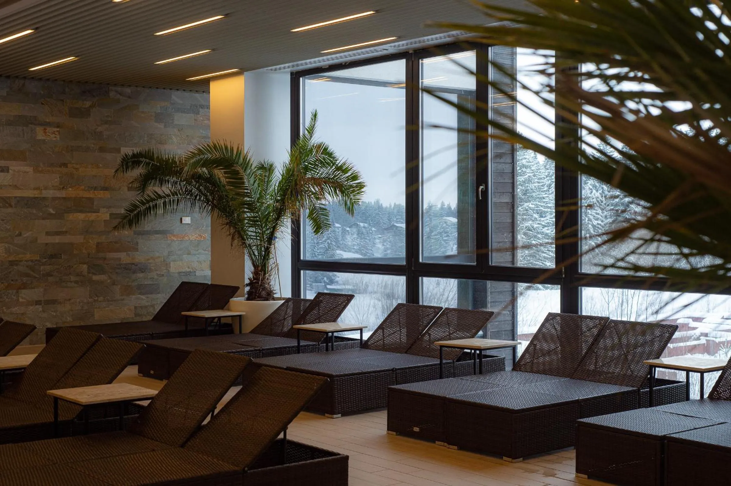 Elexus Apartments Poiana Brasov