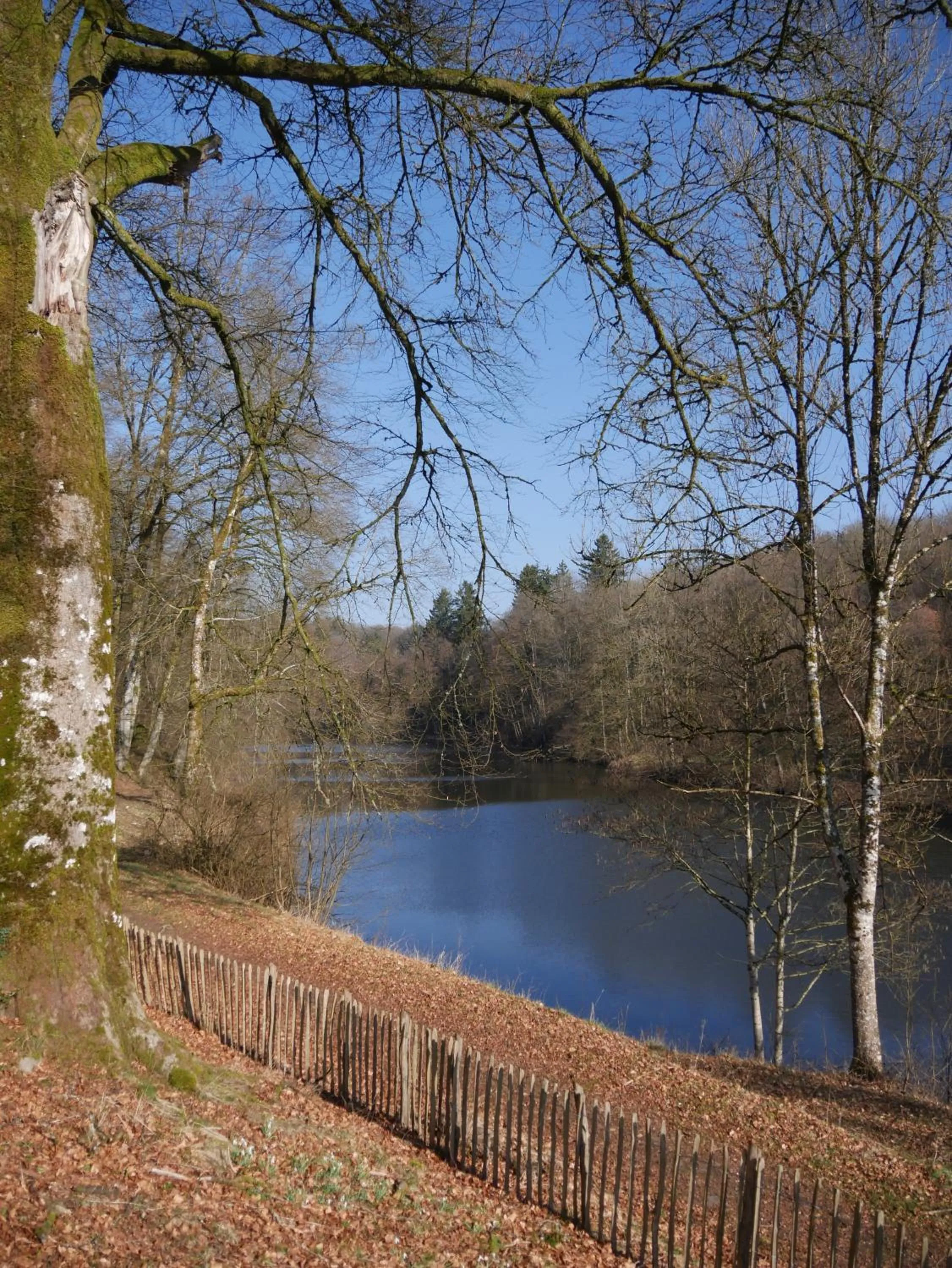 Lake view in Château du Pont d'Oye