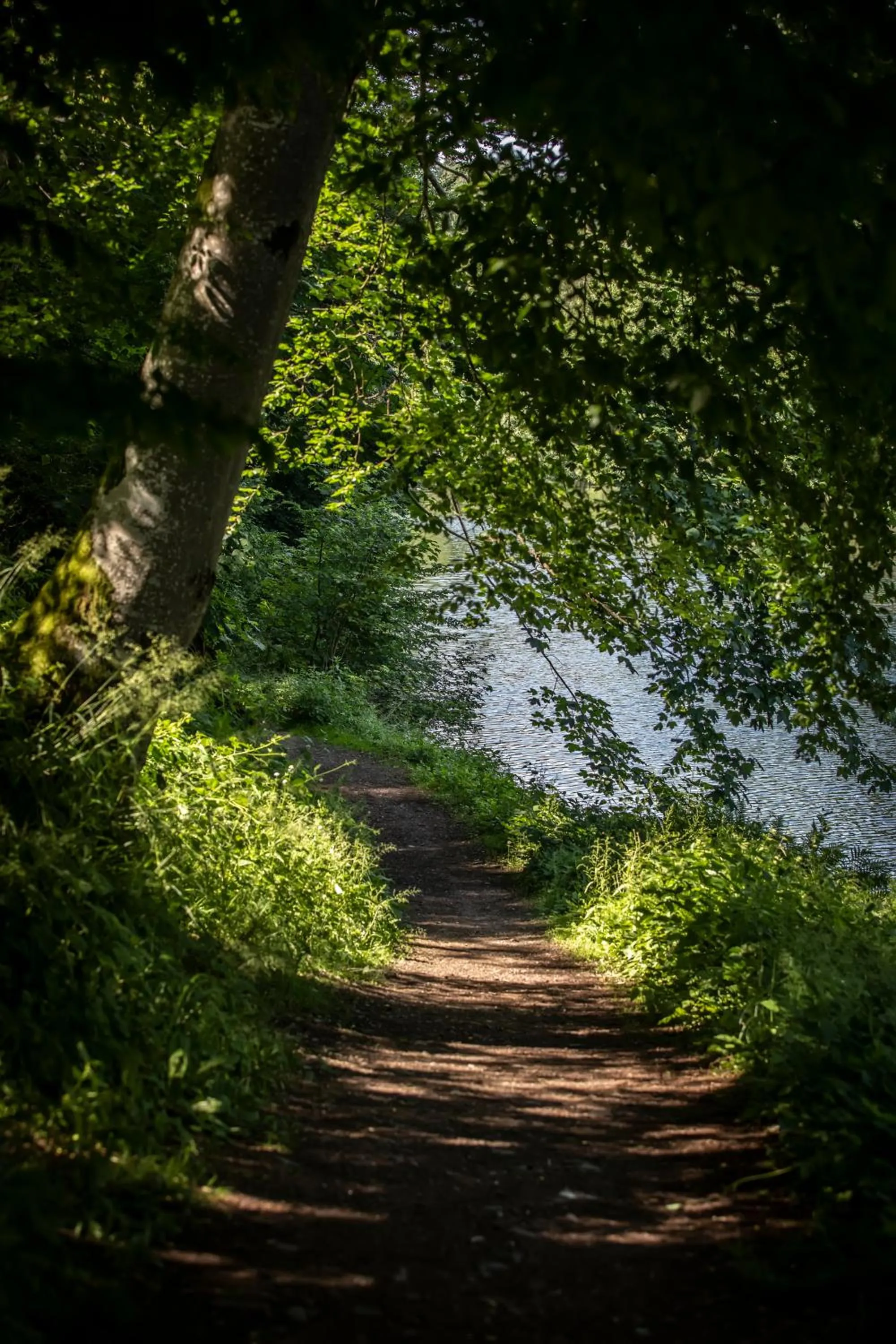 Nearby landmark in Château du Pont d'Oye