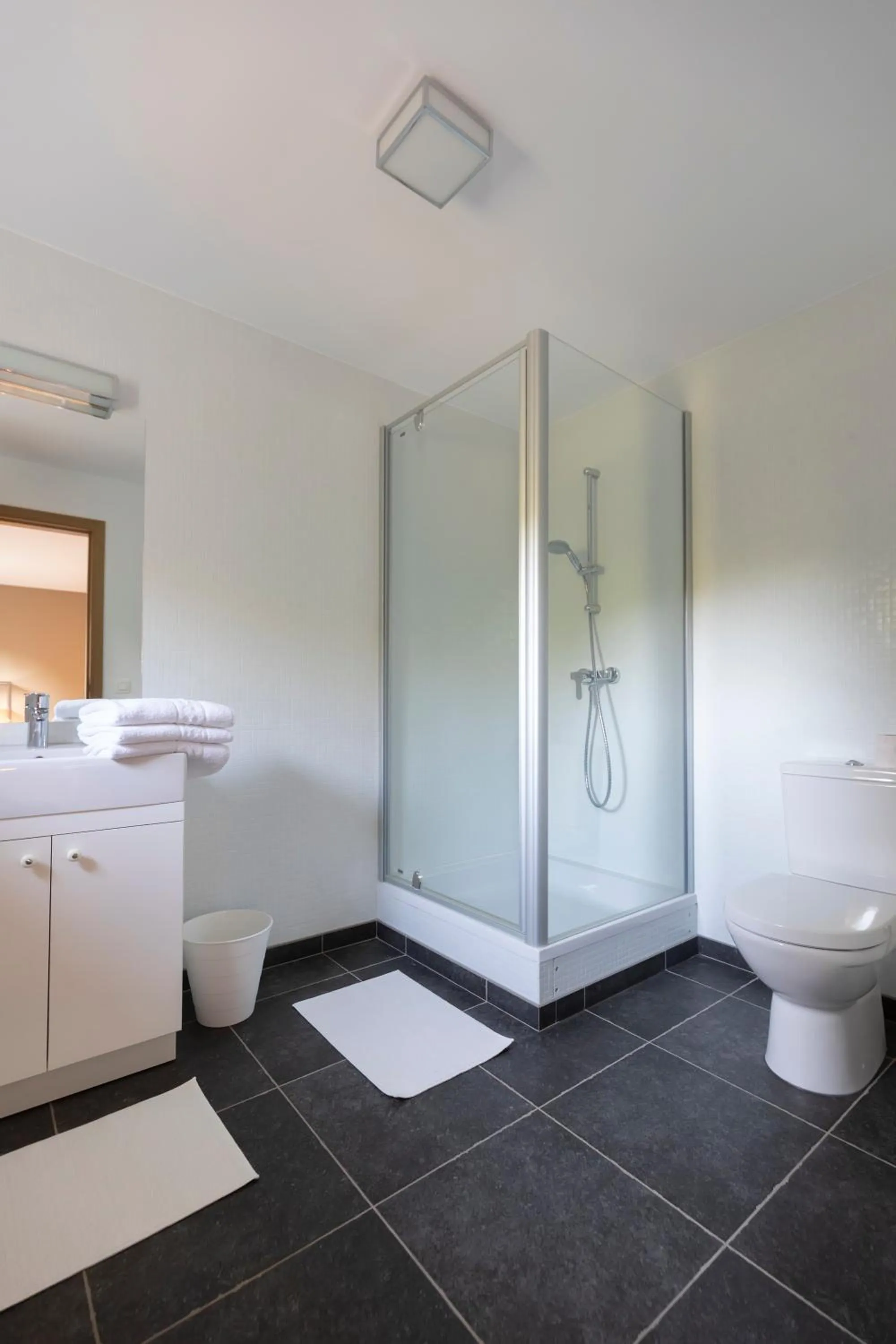 Bathroom in Château du Pont d'Oye