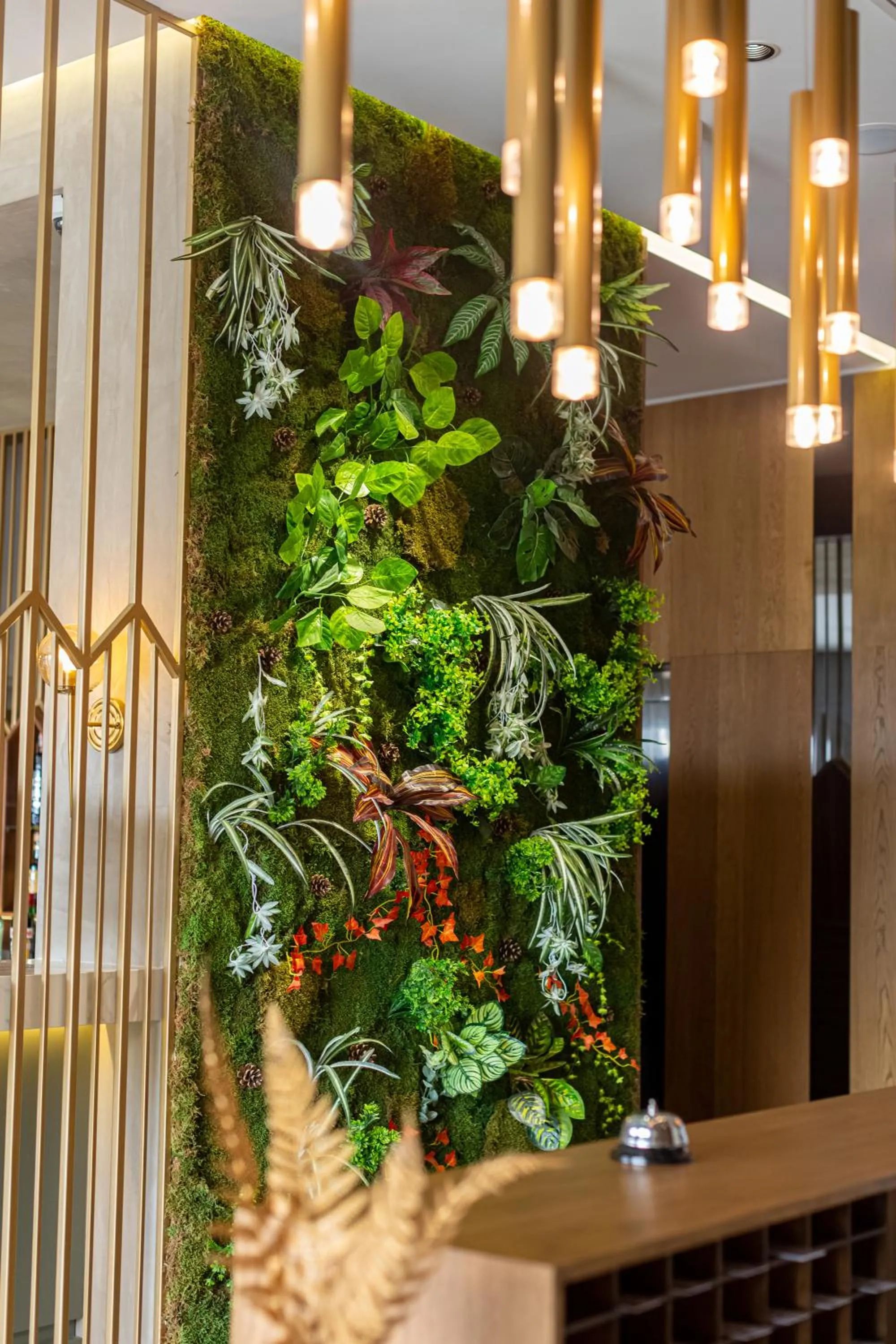 Area and facilities in Ames Hotel & SPA