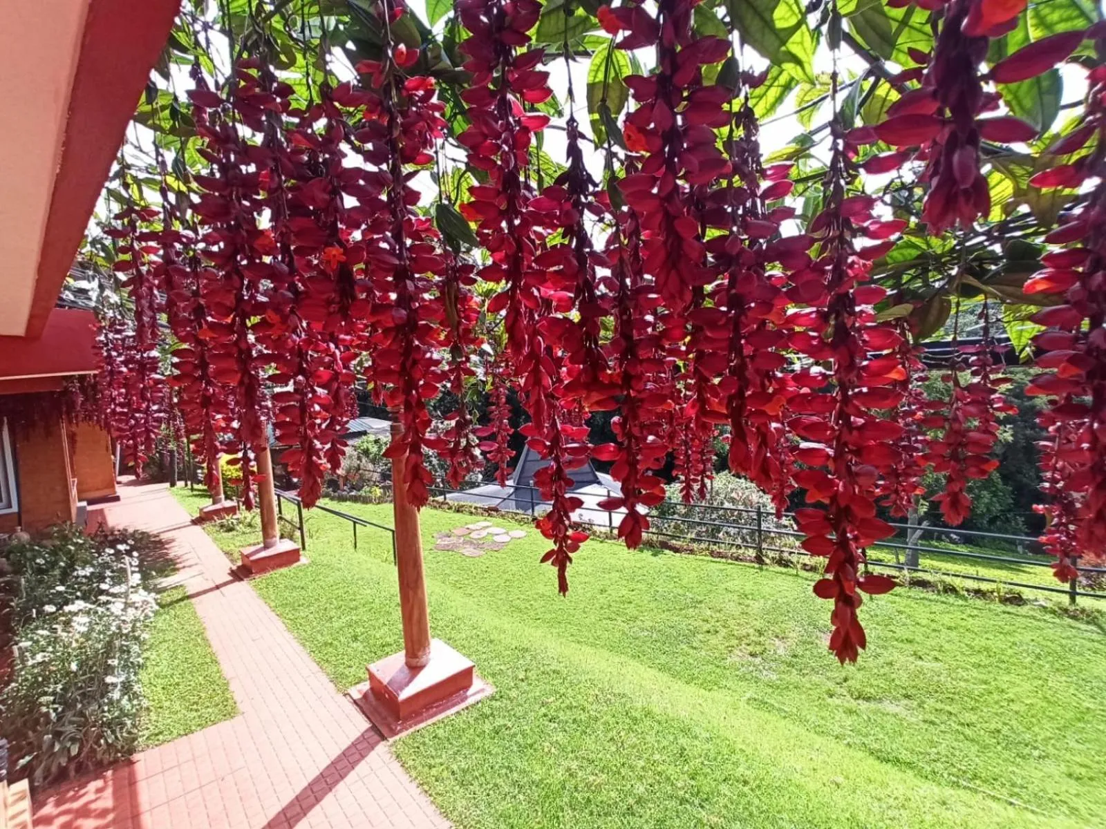 Neighbourhood in De Rock Jungle Living Resort