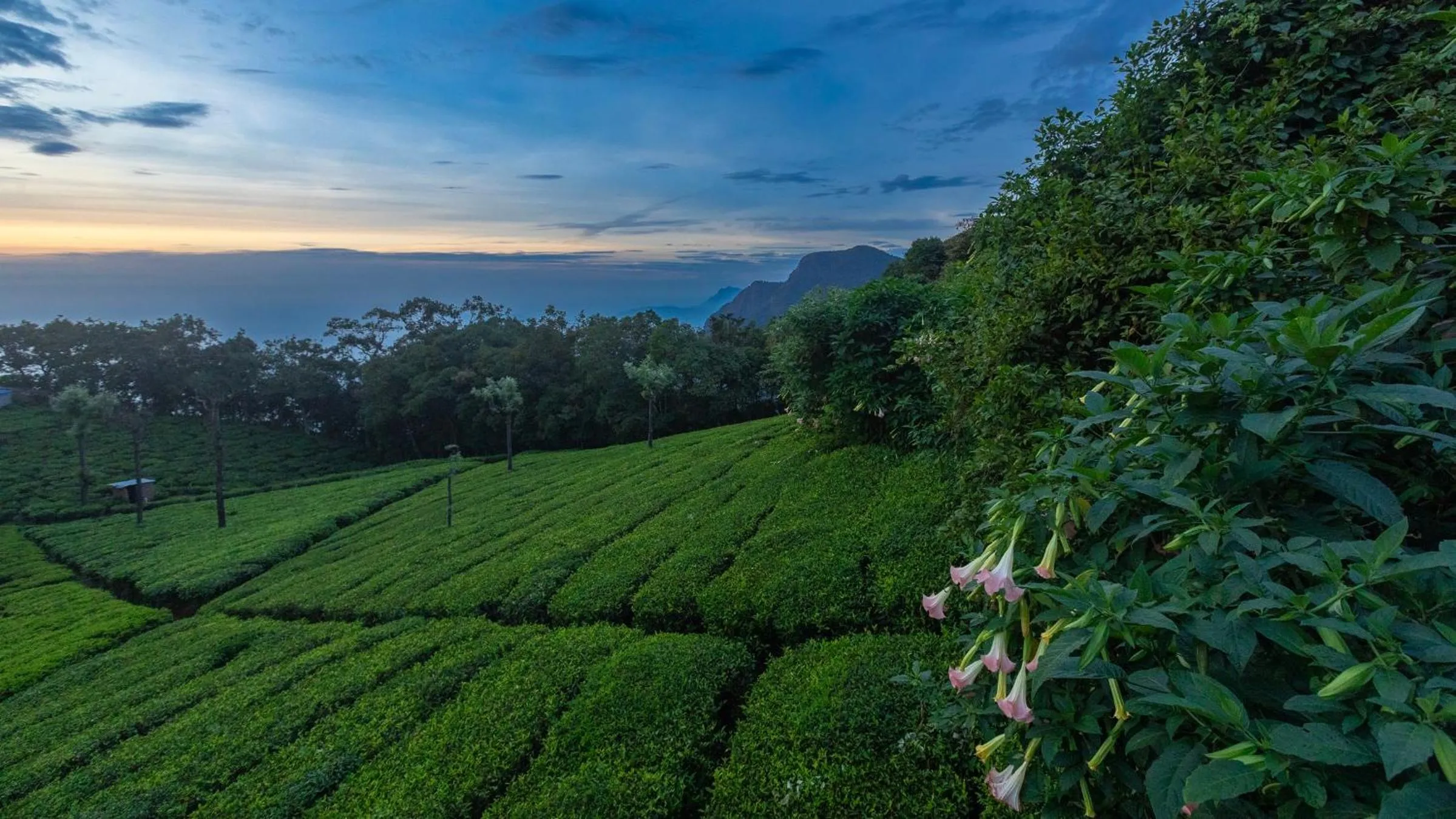 Nearby landmark in De Rock Jungle Living Resort