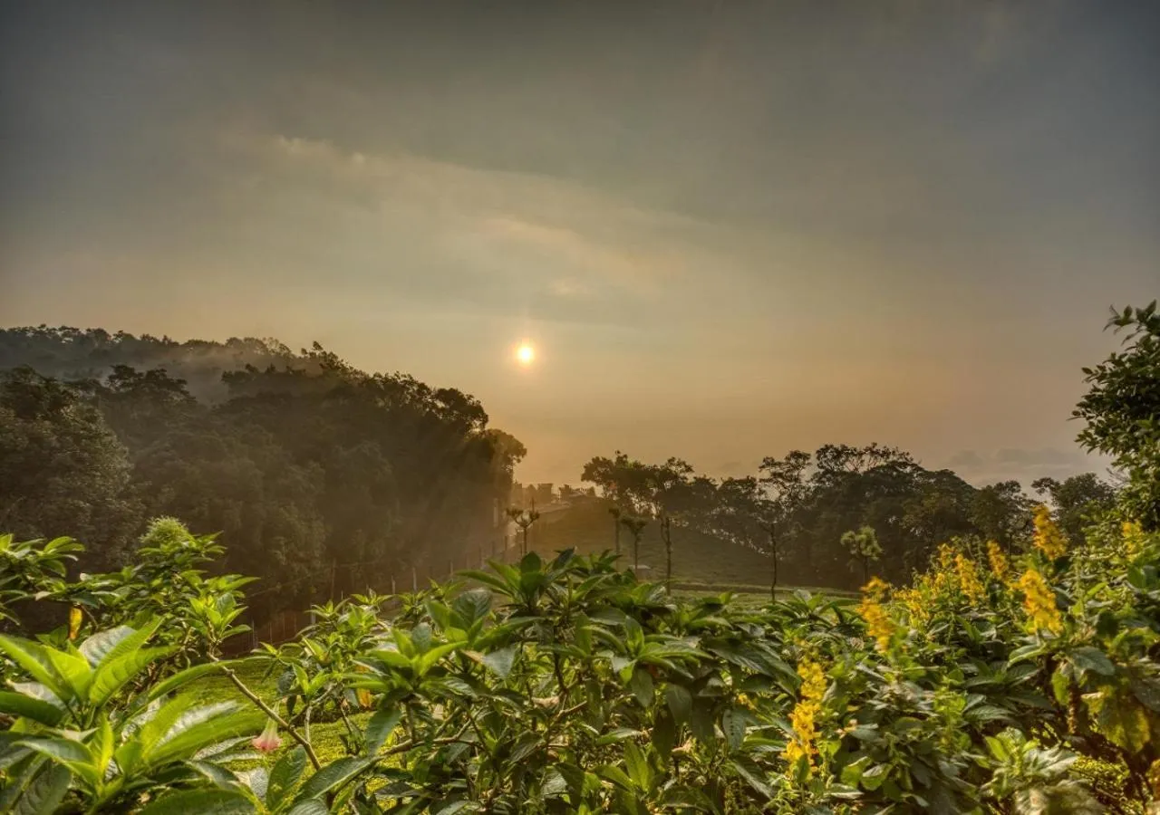 Sunset in De Rock Jungle Living Resort