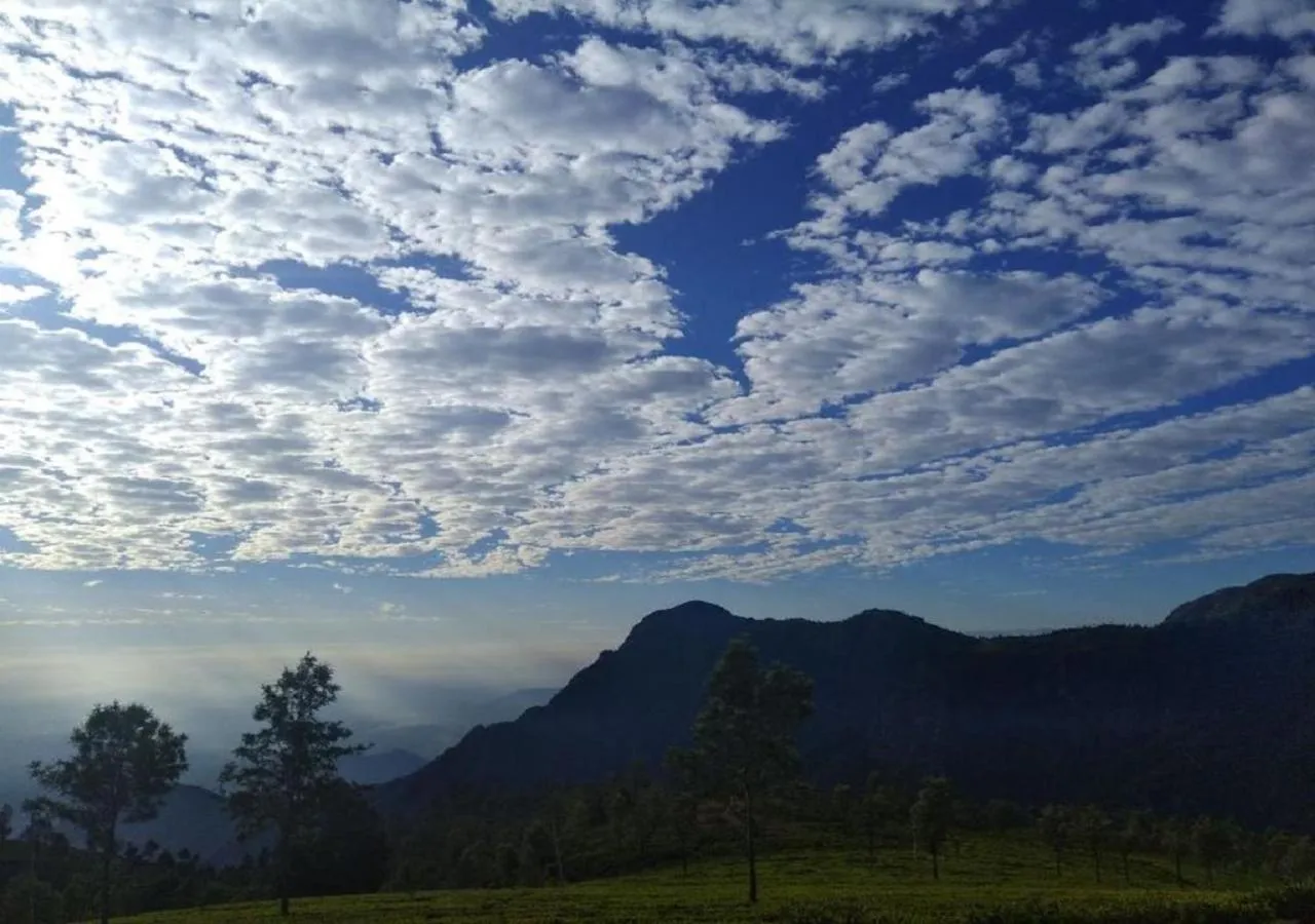 View (from property/room) in De Rock Jungle Living Resort