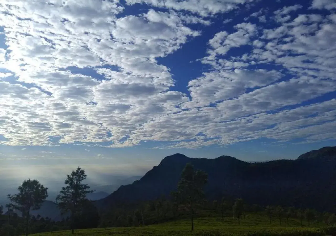 View (from property/room) in De Rock Jungle Living Resort View (from property/room) in De Rock Jungle Living Resort