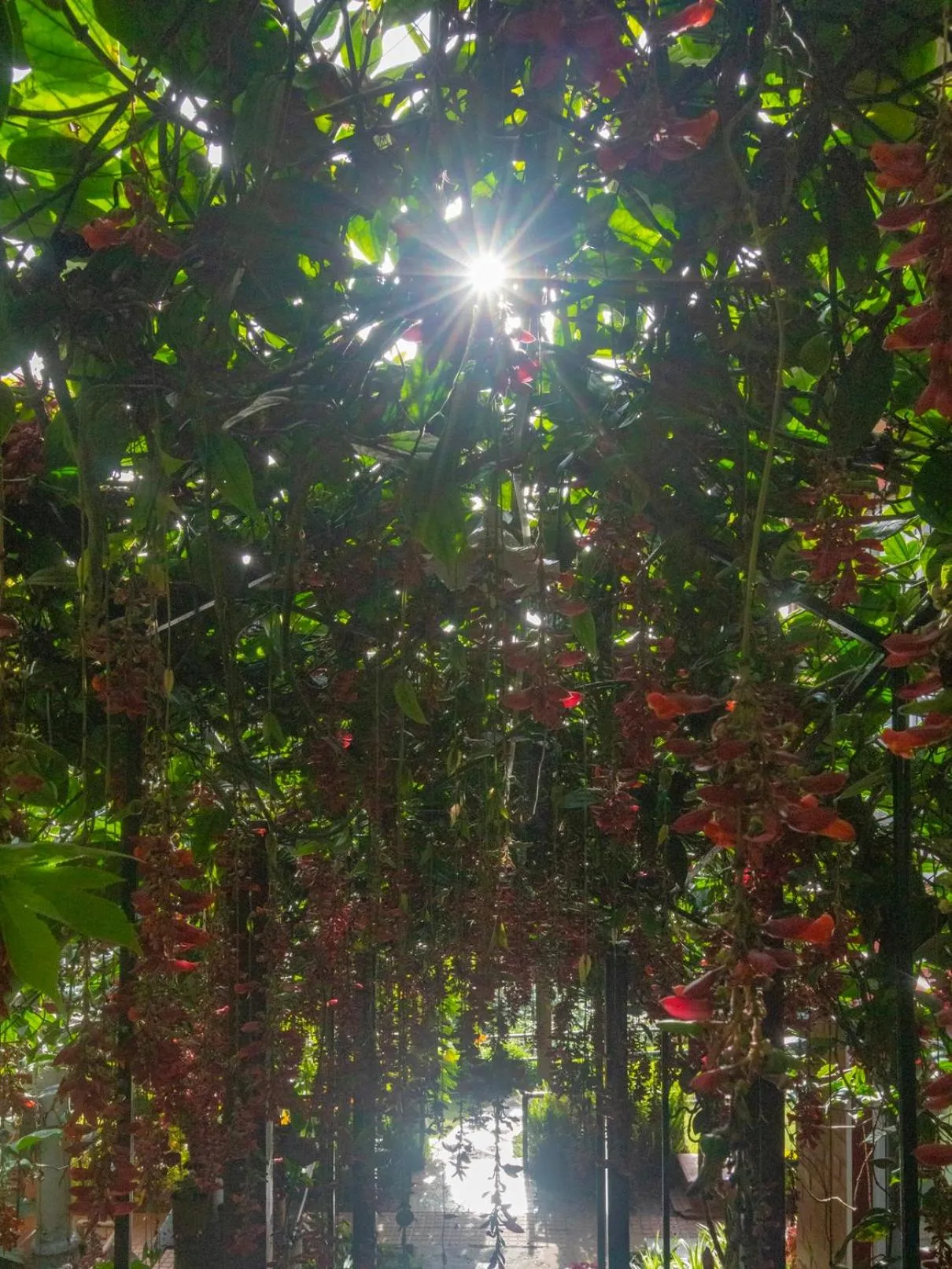 Natural landscape in De Rock Jungle Living Resort