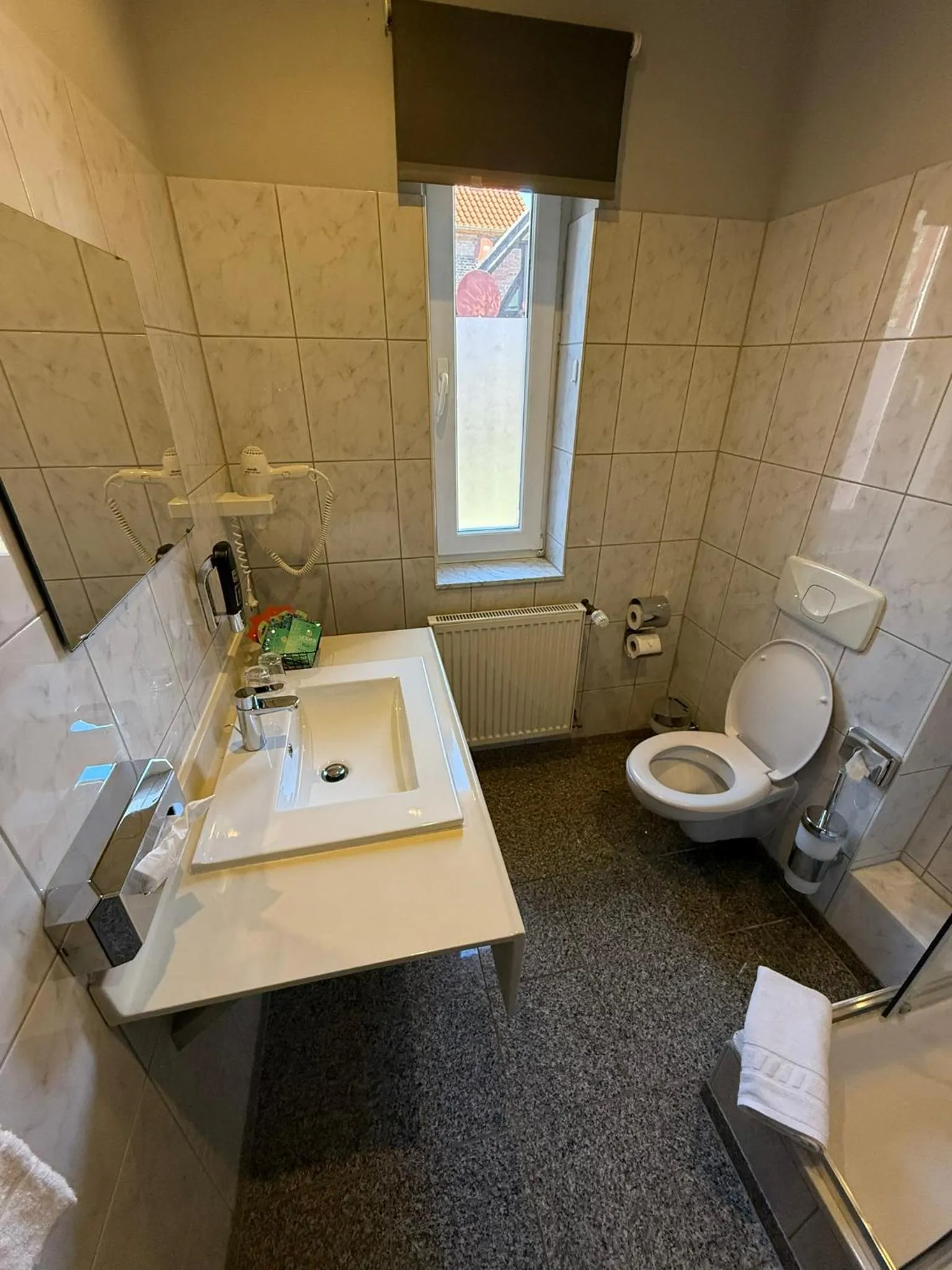 Toilet in Altstadthotel Ilsenburg