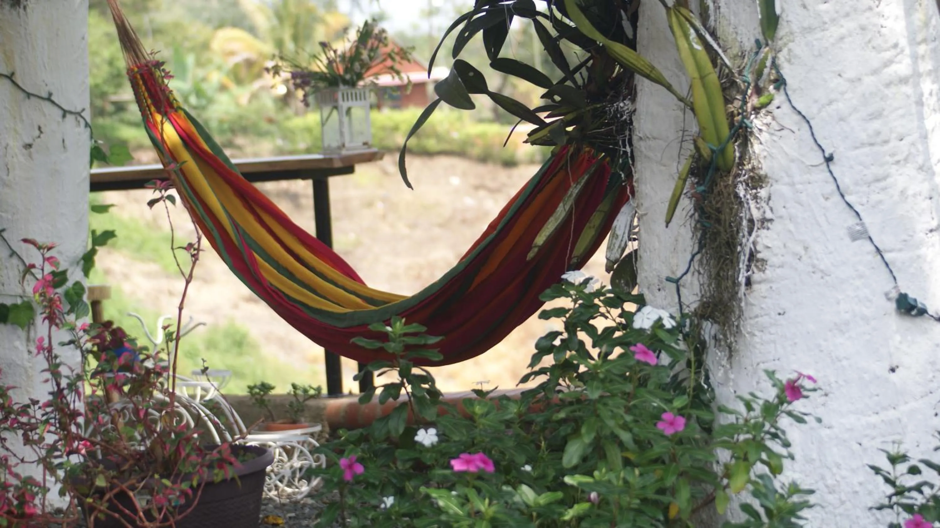 Natural landscape in BOSQUE EL DESCANSO