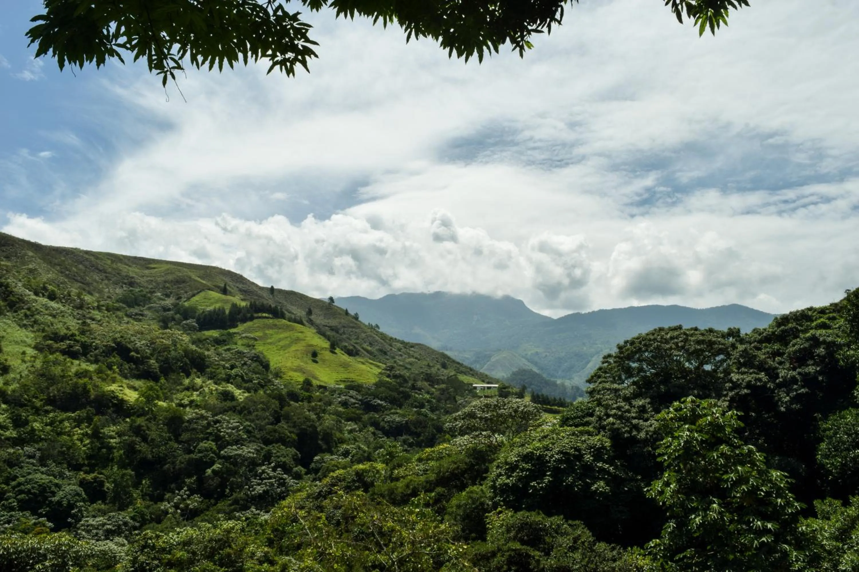 Natural landscape in BOSQUE EL DESCANSO
