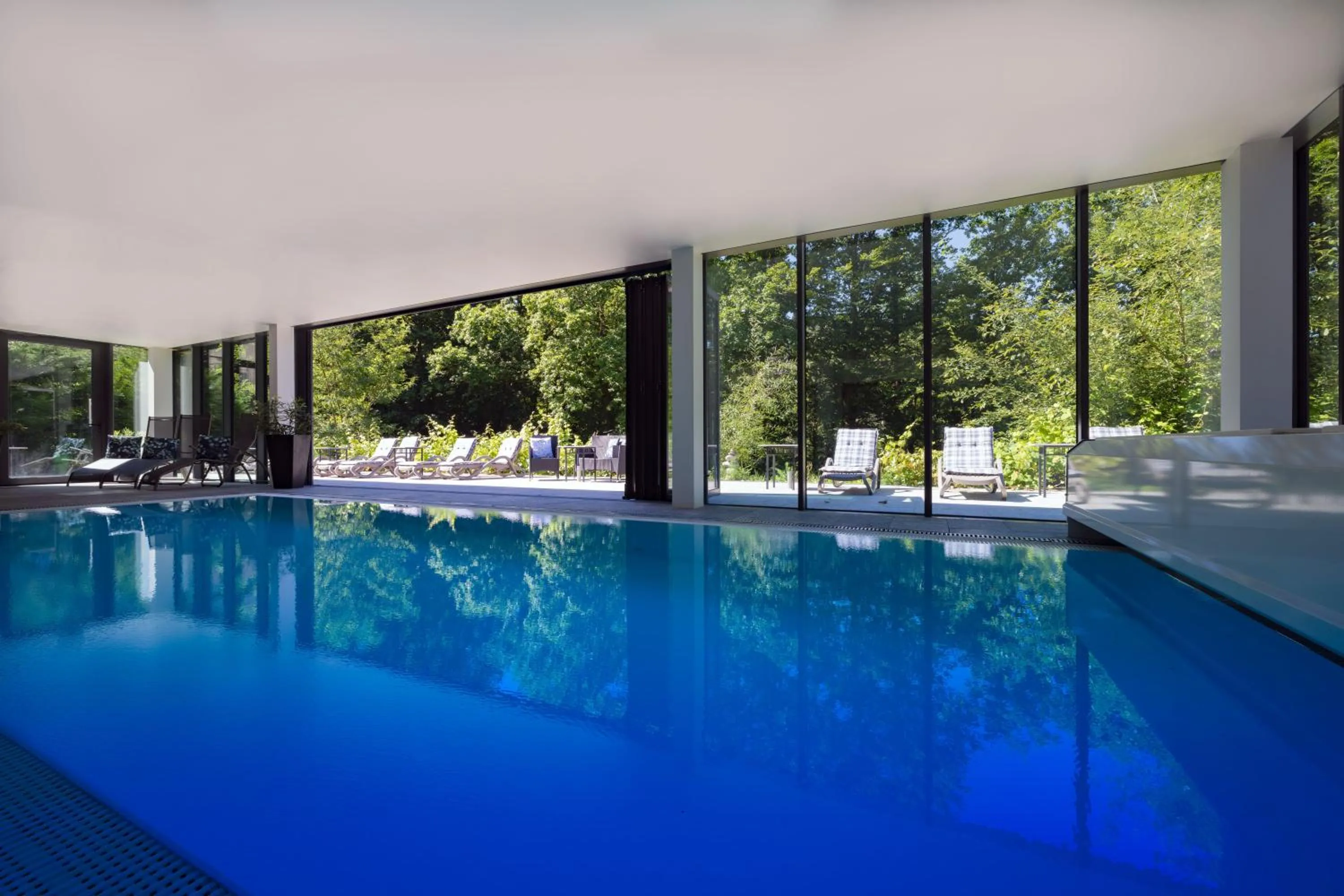 Swimming pool in Parkhotel Hohnstein by STEIGER Hotels