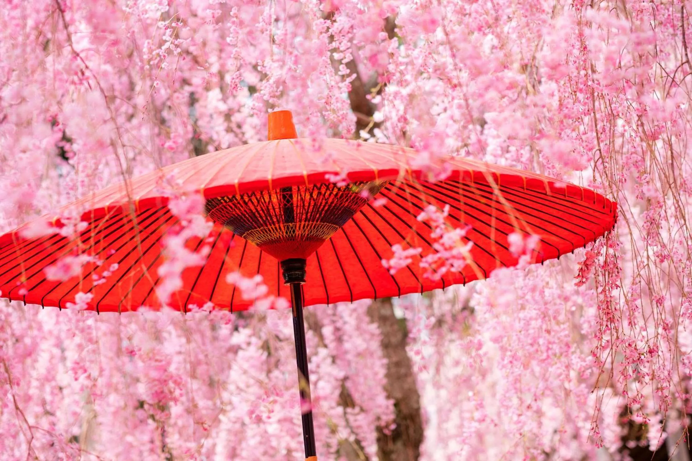 Other in Comfort Inn Kyoto Shijokarasuma