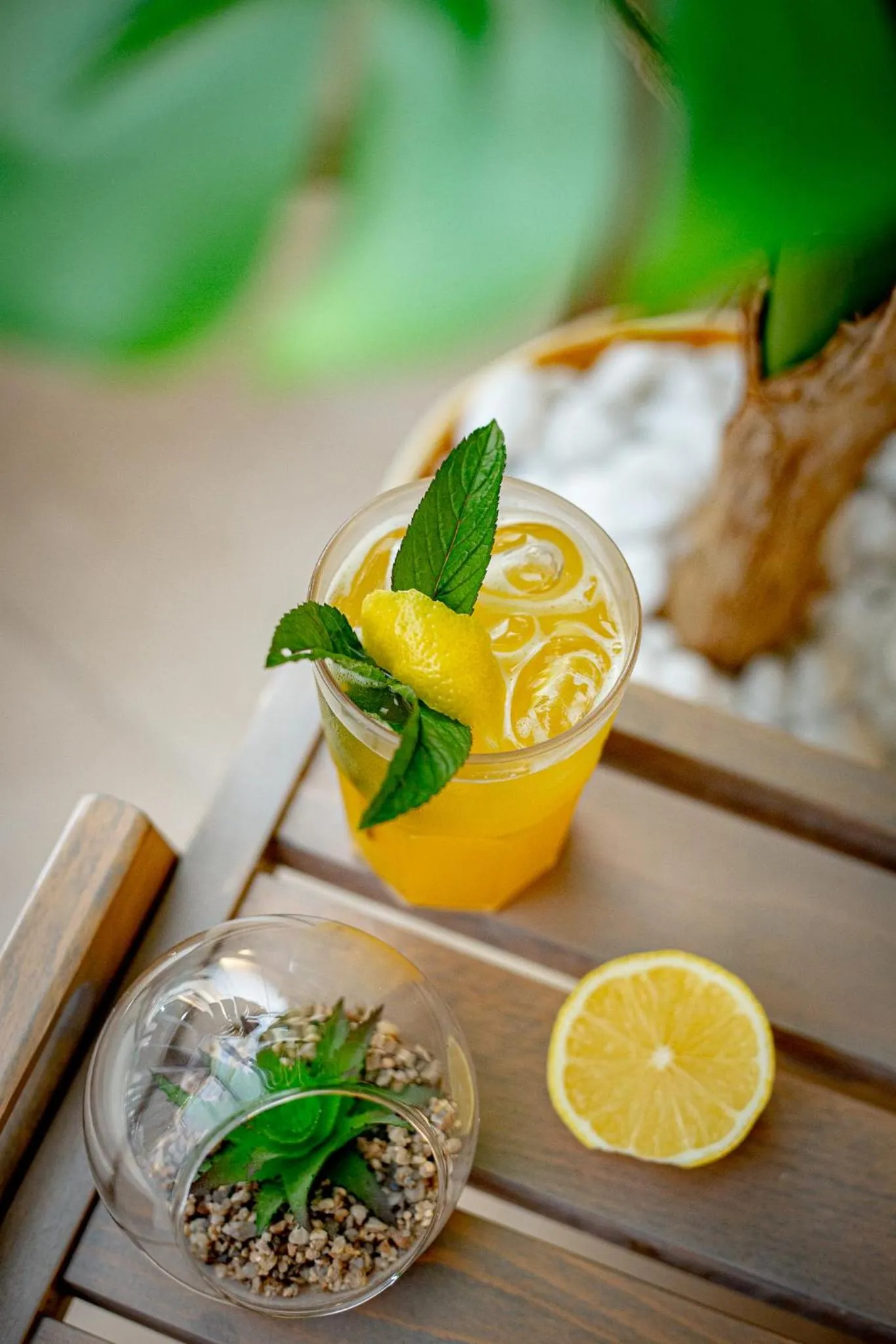 Spa and wellness centre/facilities in Titova Vila Zlatibor