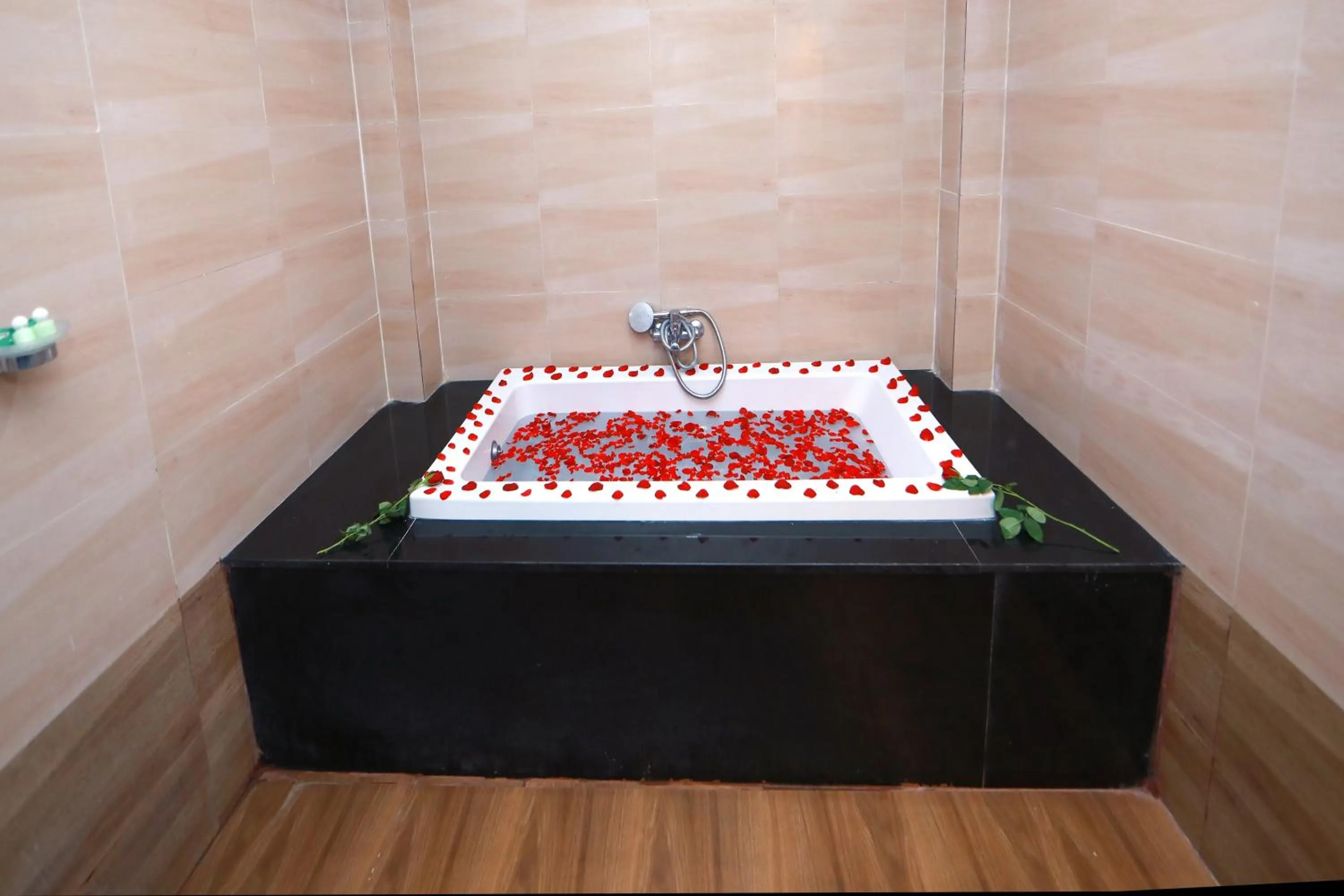 Pearl Park Beach Resort Private Limited