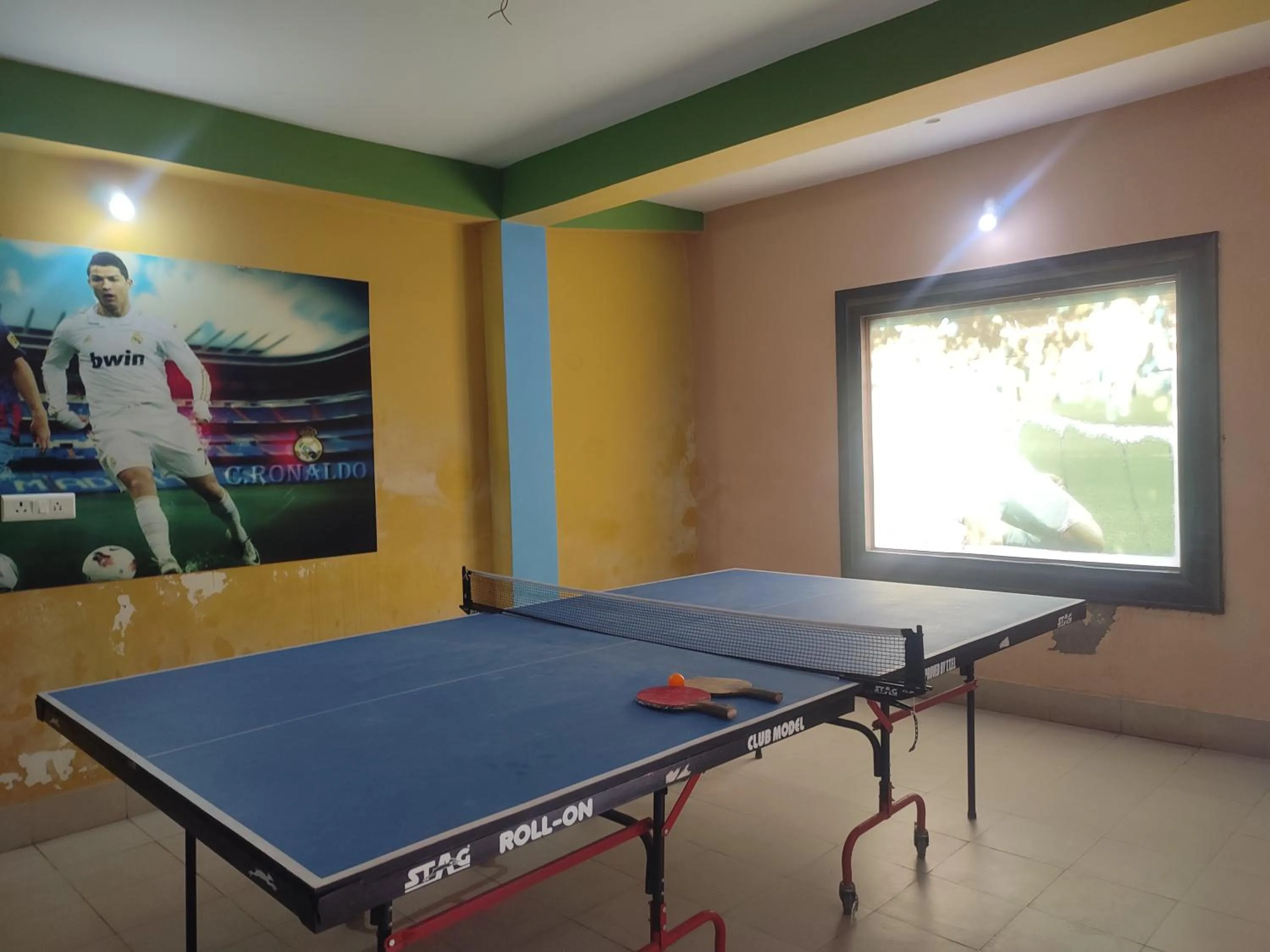 Game Room in Maa Greenary View - A Holiday Resort