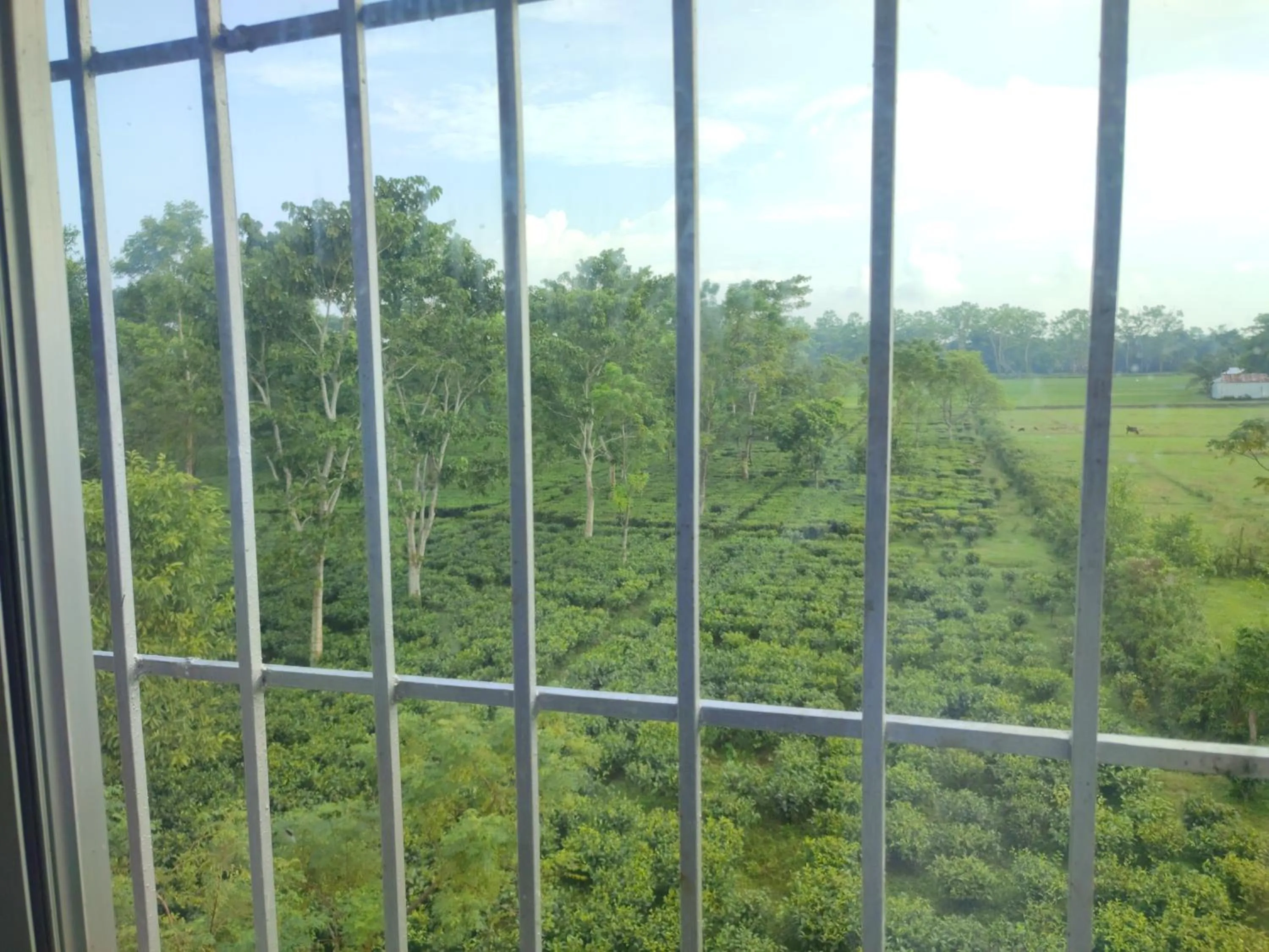 Spring in Maa Greenary View - A Holiday Resort