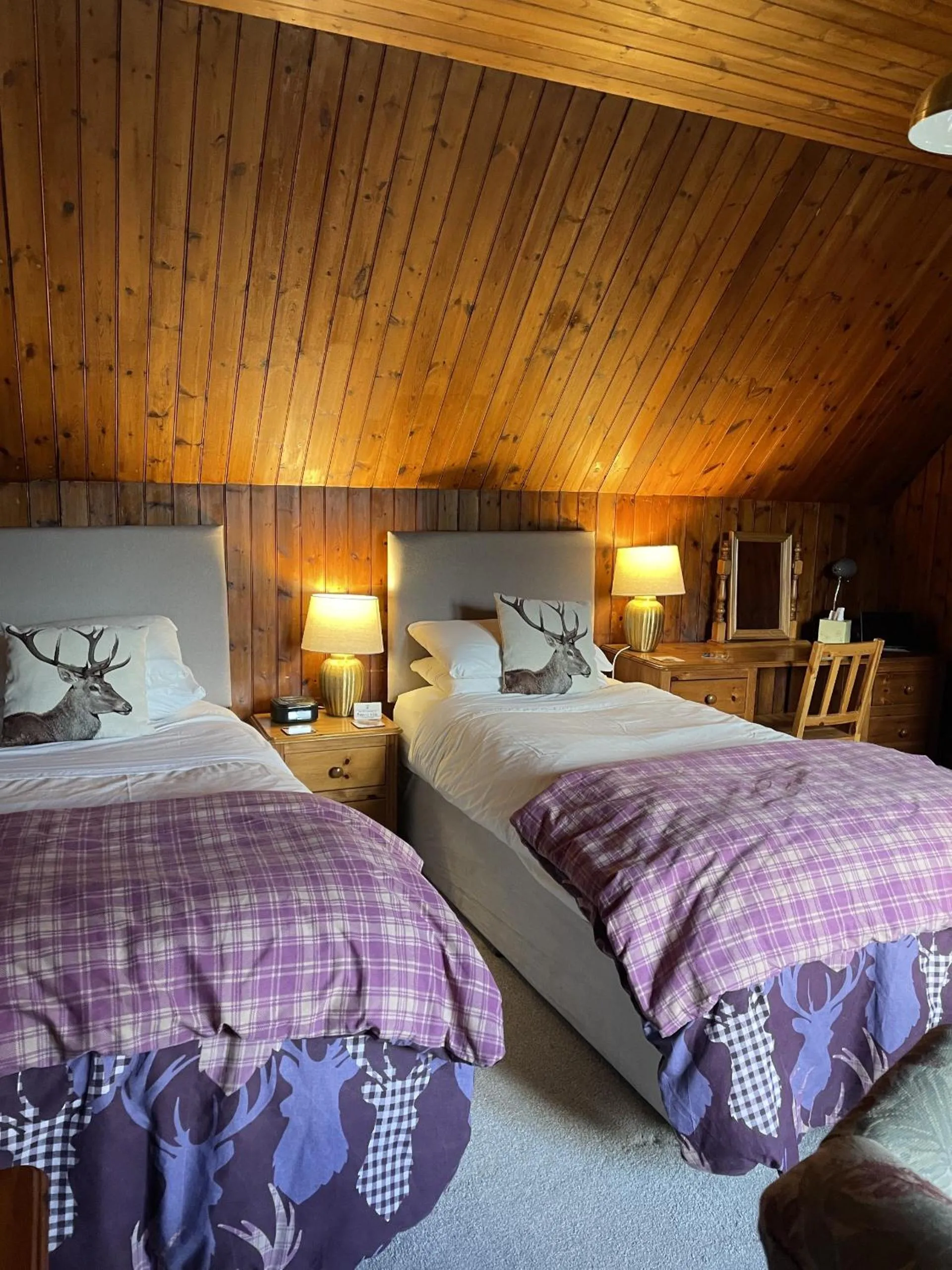 Twin Room in Westward Bed and Breakfast