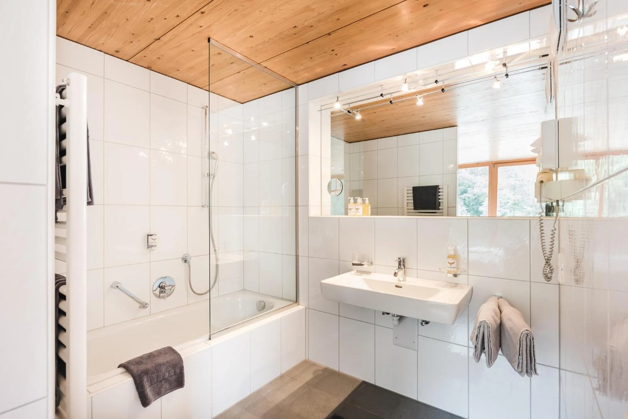 Shower in Hotel Adler